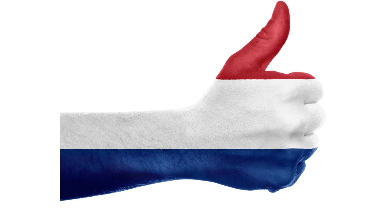 goedkeuring de nederlandsche bank