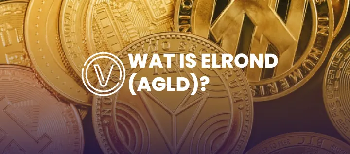 layer 1 altcoins afbeeldingen tekengebied 1 kopie 24