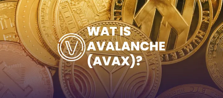 layer 1 altcoins afbeeldingen tekengebied 1 kopie 30