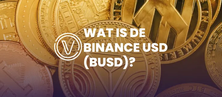 layer 1 altcoins afbeeldingen tekengebied 1 kopie 36