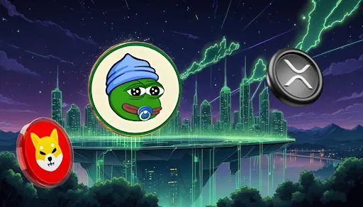 little pepe 1