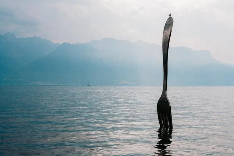 photo 1541782653 4ef6a3927003