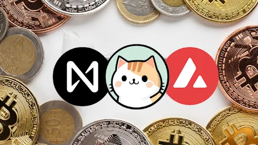 zircuitdex presale 8