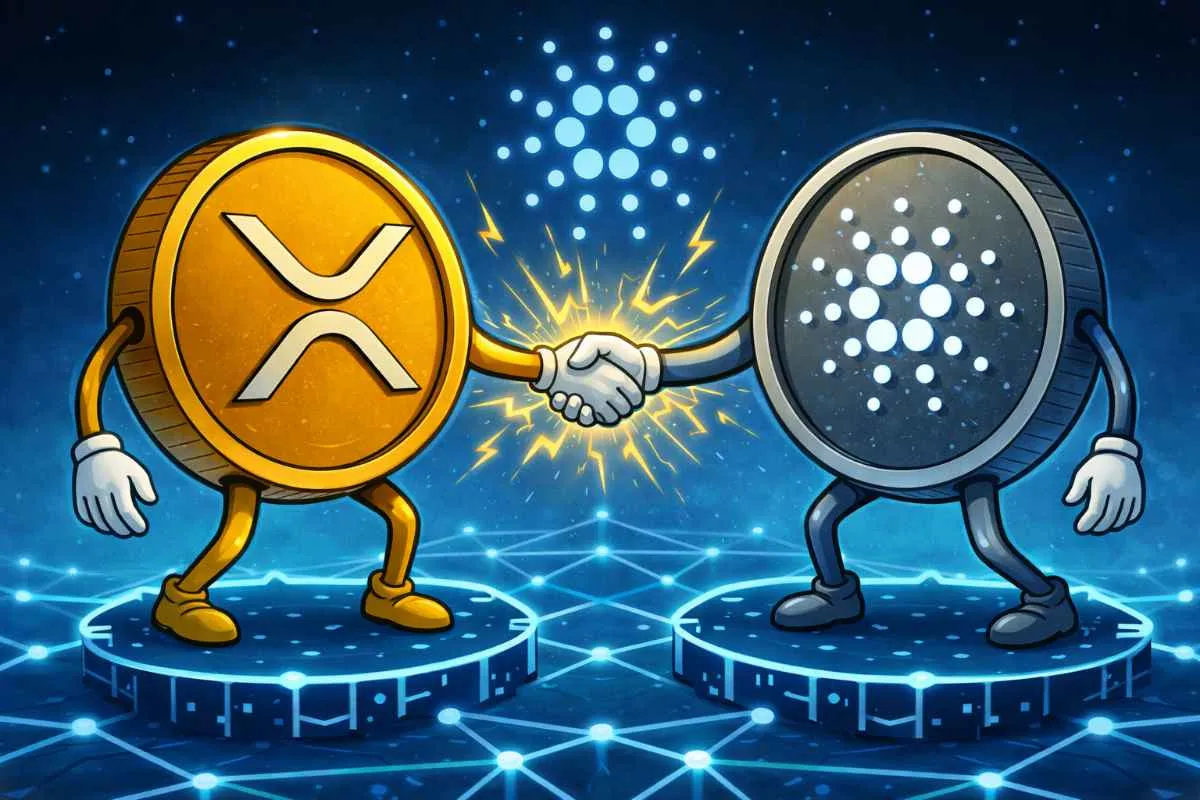 Cardano XRP DeFi