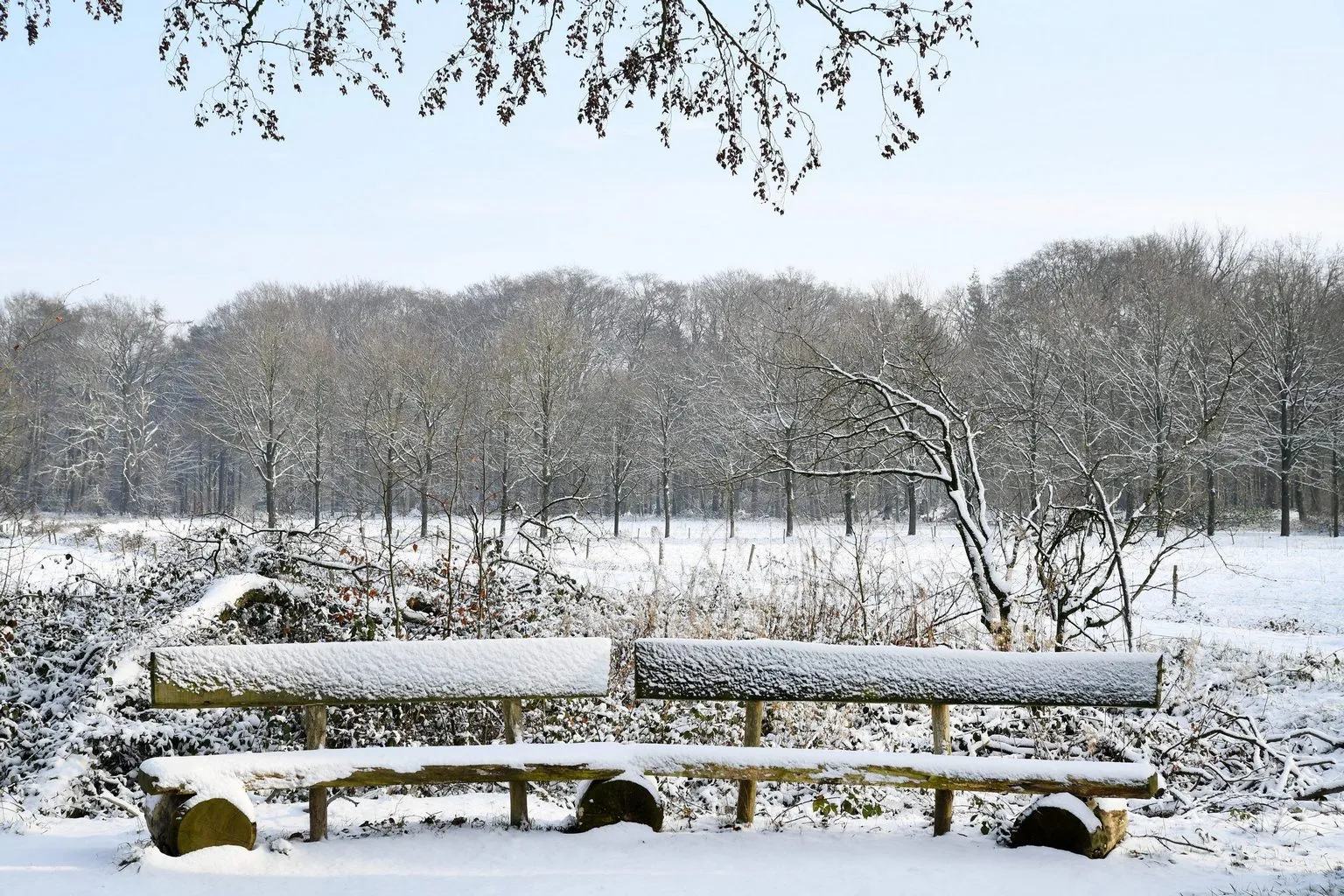 10398 20190123 achtmaal jst9965 5568x3712