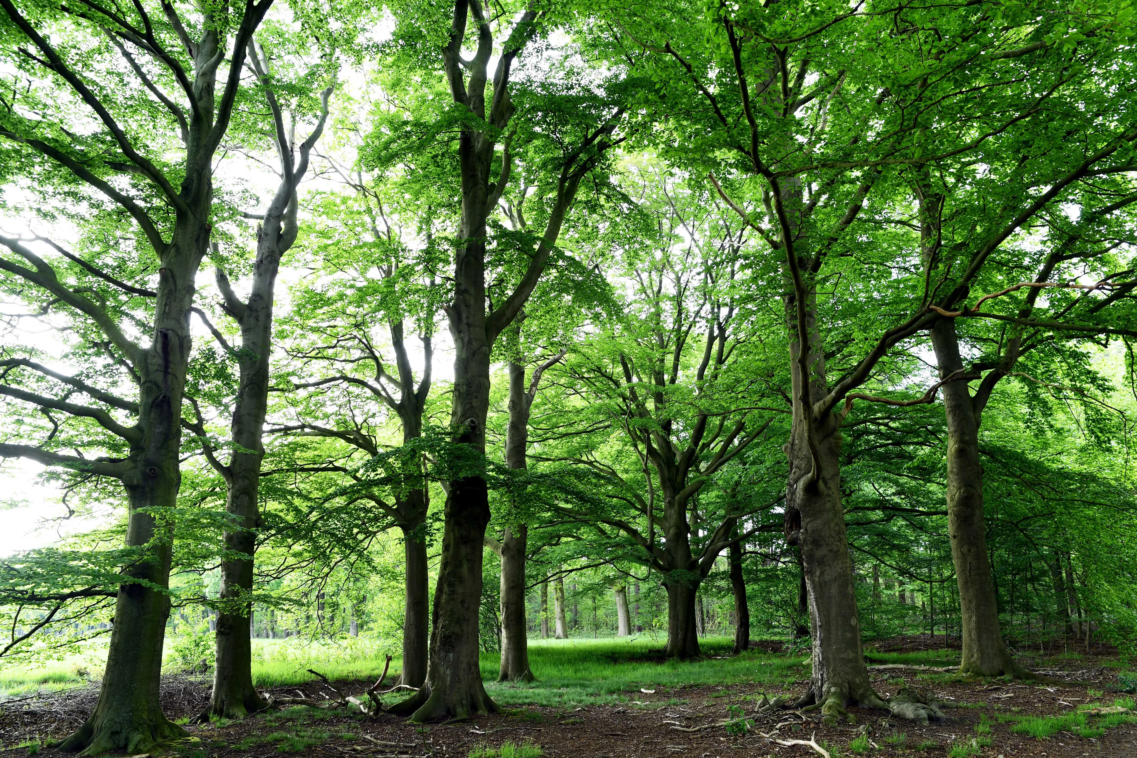 20190510 alphen landgoed de hoeven jst4207