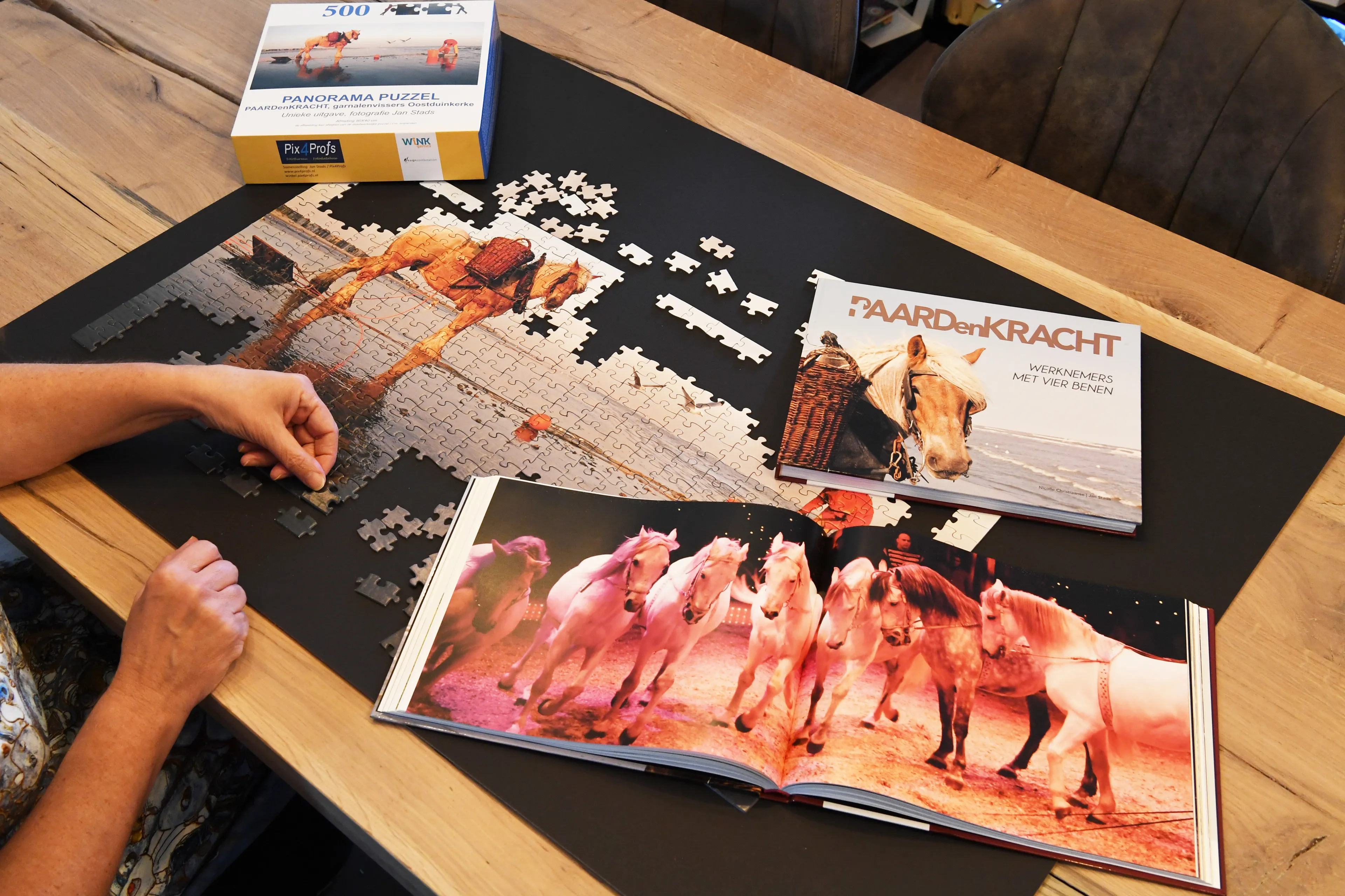69695 20221020 legpuzzel paardenkracht jst5159 5463x3712