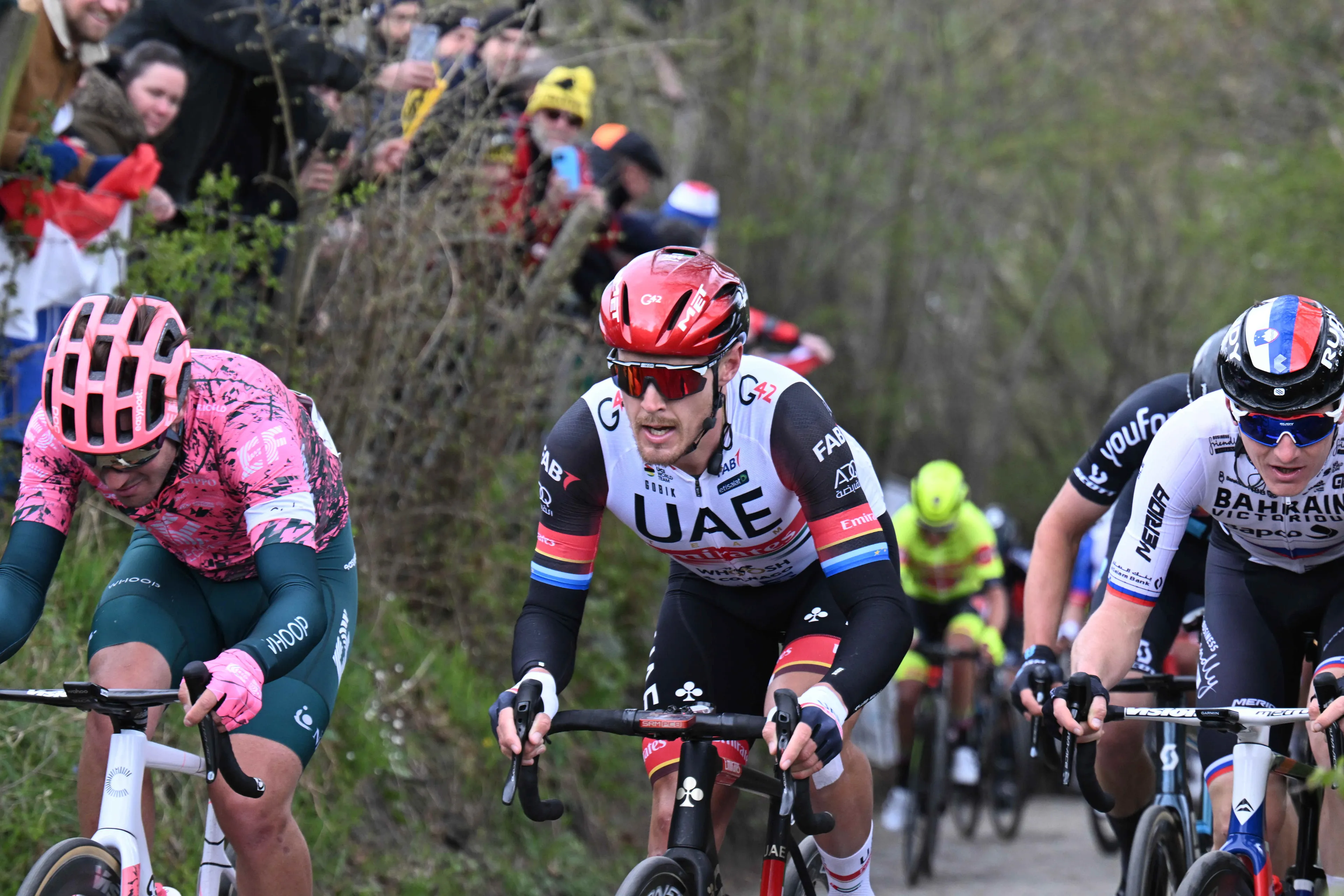 UAE Team Emirates renews with Trentin, Laengen and Oliveira twins
