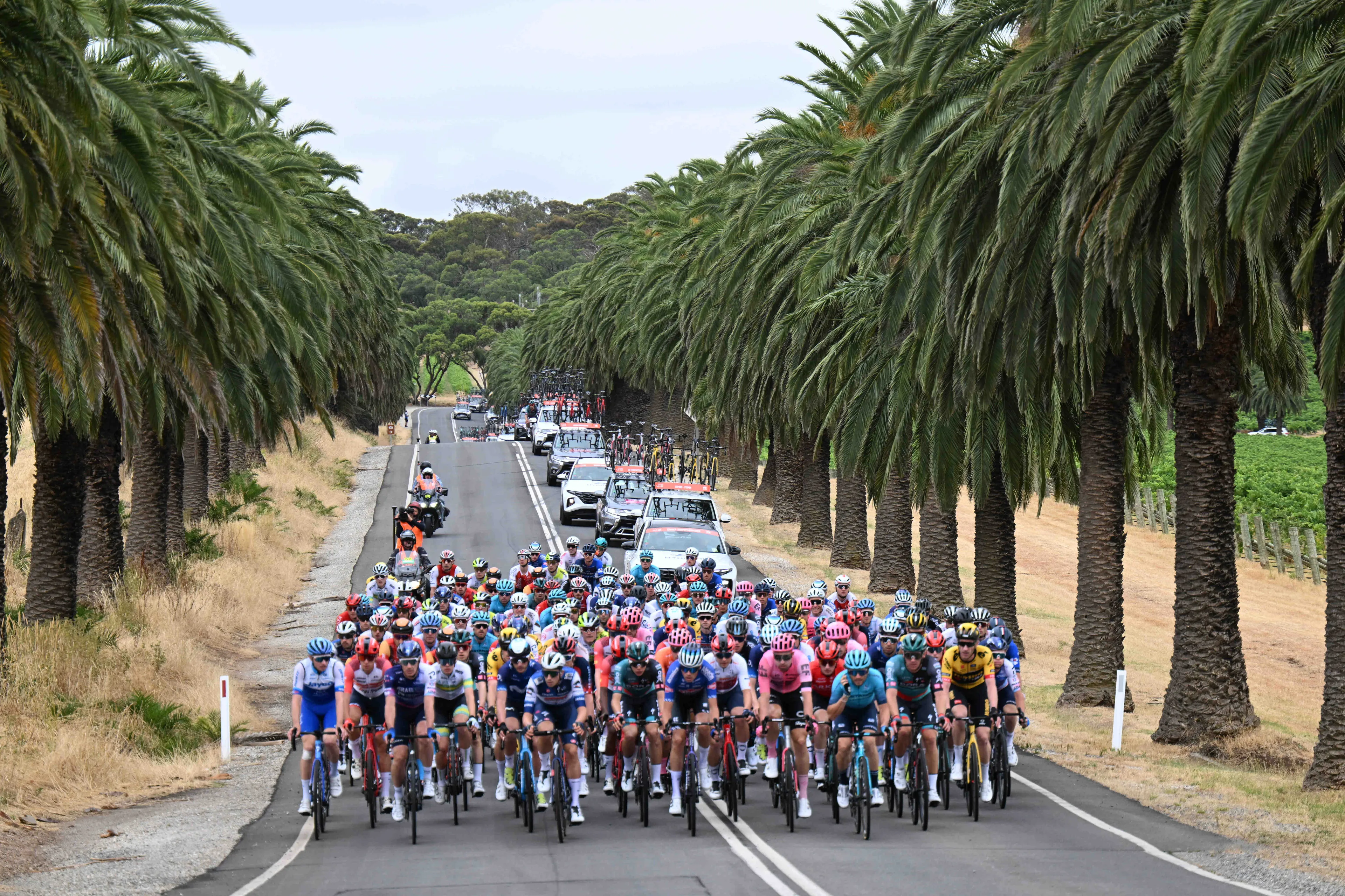 Saudi investment firm looking into a potential bid of €250 million to back the new cycling 'Super League'