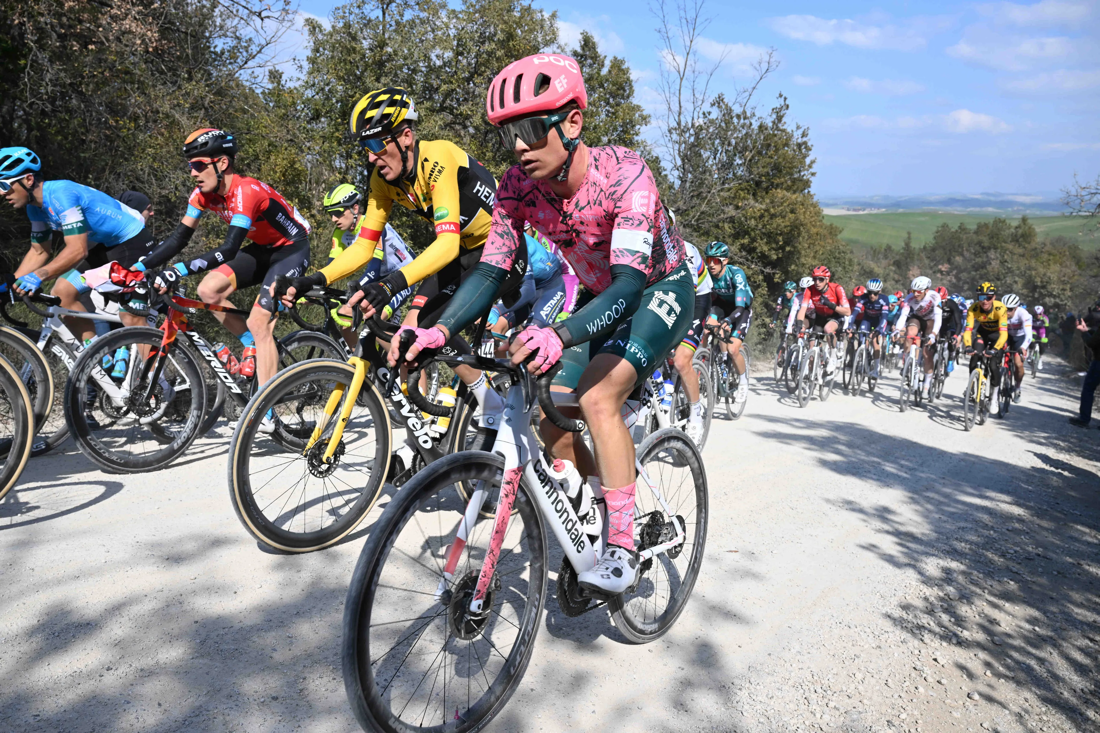 Marijn van den Berg thrives in "tough day" as he sprints to win after echelons