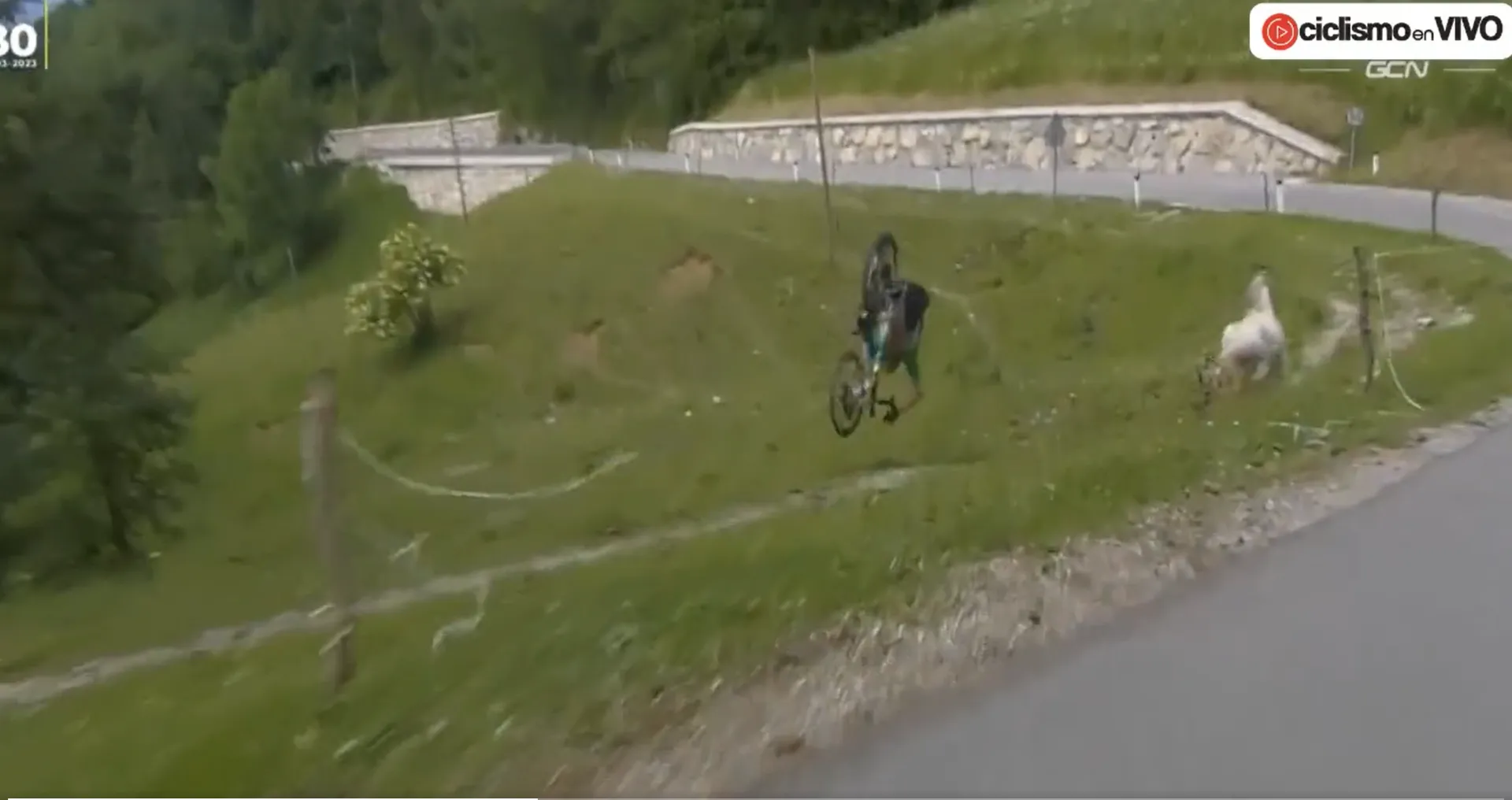 VIDEO: Filippo Zana sent somersaulting off road after overshooting corner on Tour of Slovenia descent