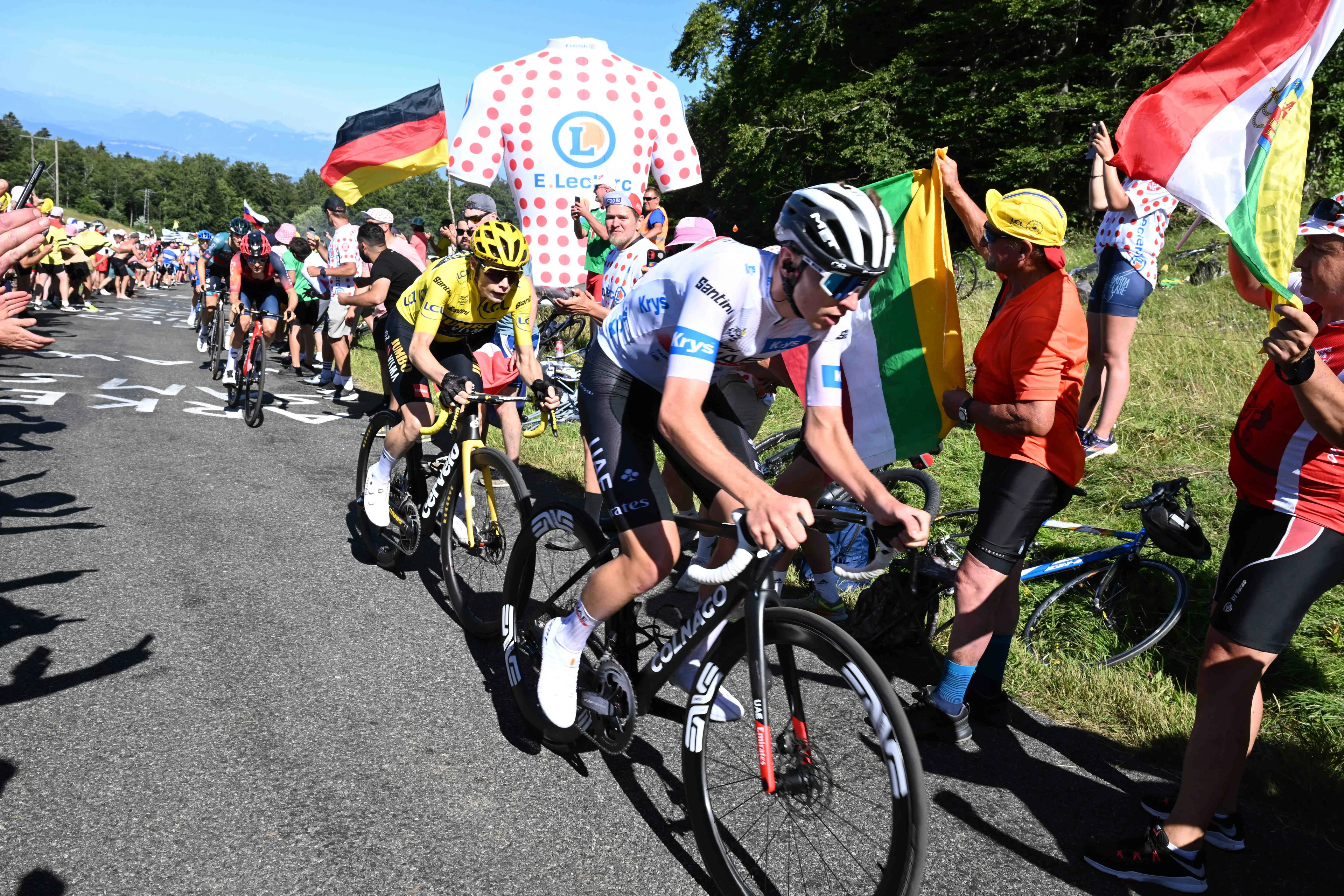 Team Visma CEO Richard Plugge on Tadej Pogacar: "We will only see in the Tour de France what the real level is"