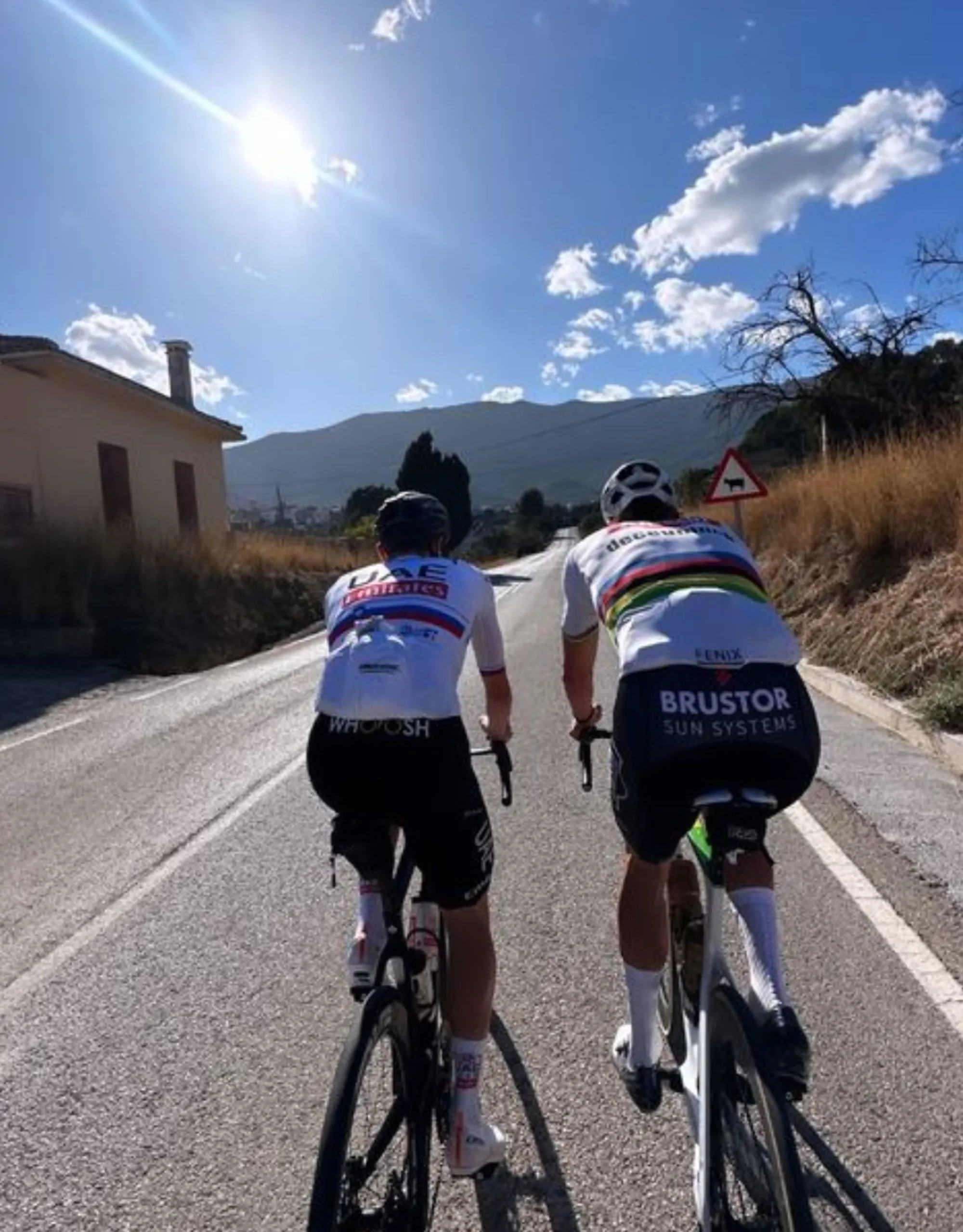Tadej Pogacar and Mathieu van der Poel spotted training side-by-side