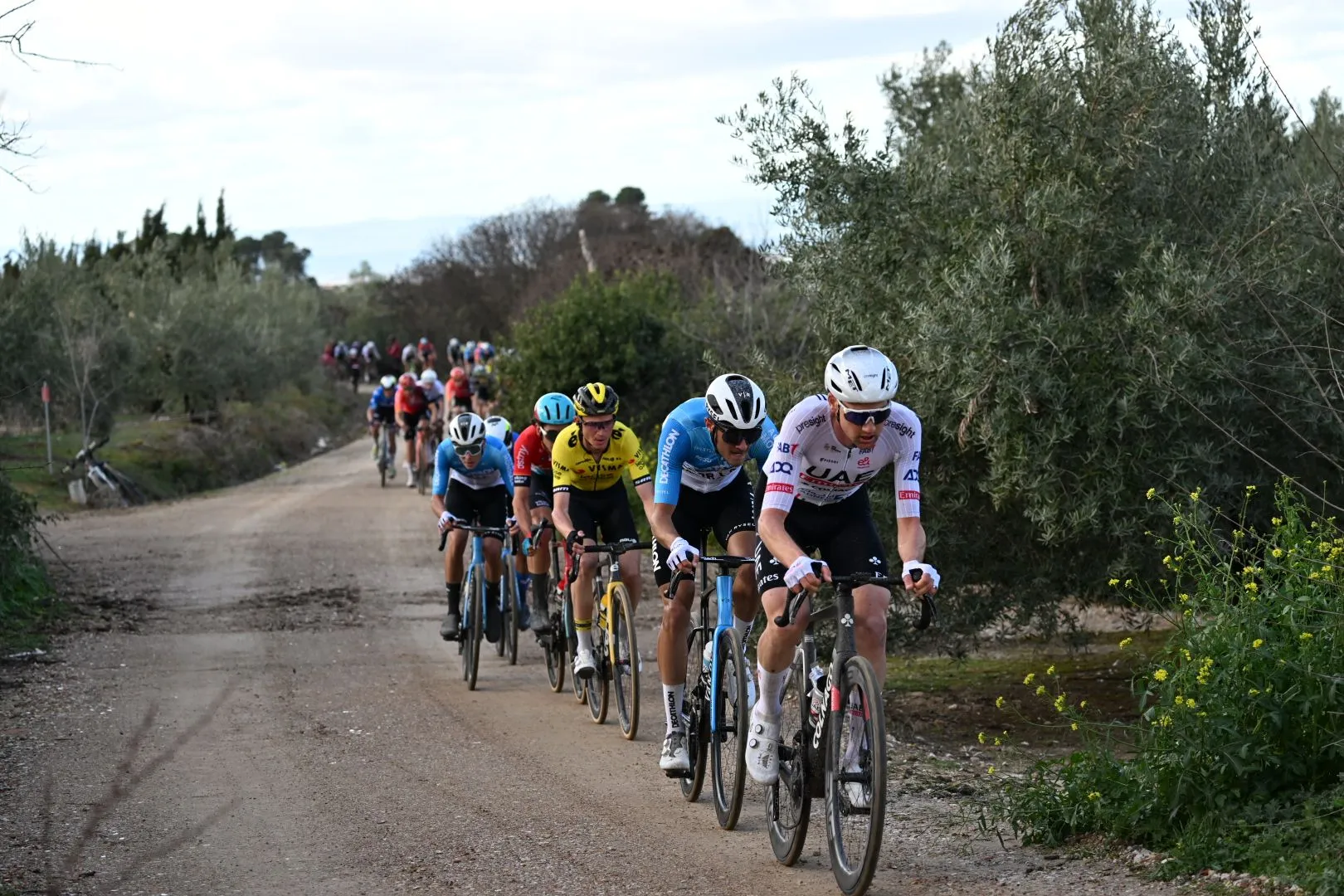 Despite great form, Tim Wellens will not be a leader at Strade Bianche - "Pogacar remains our best chance of winning"