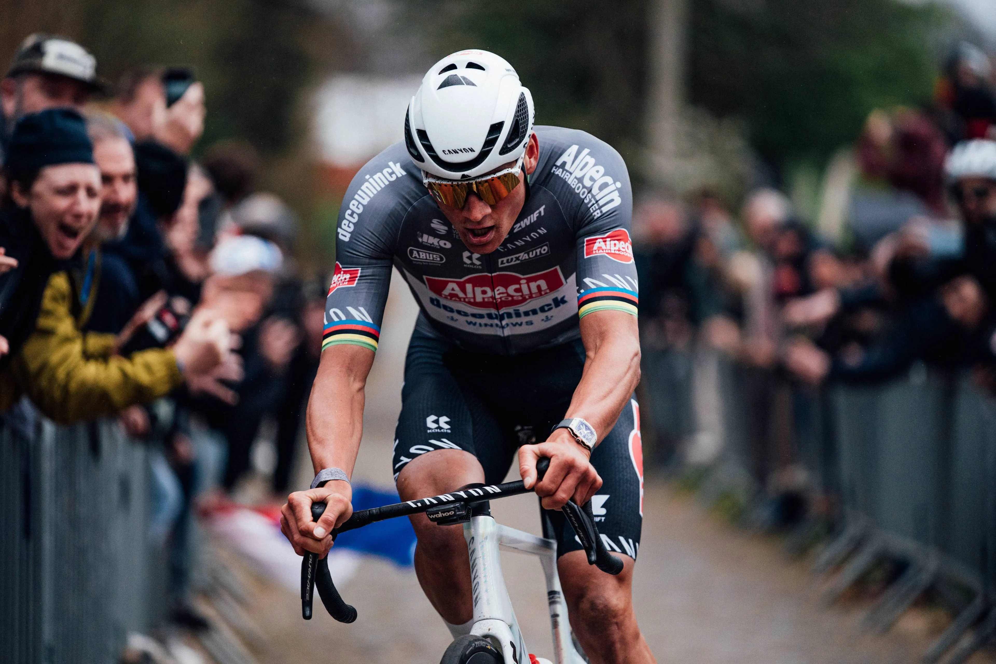 van der poel imago1060343190