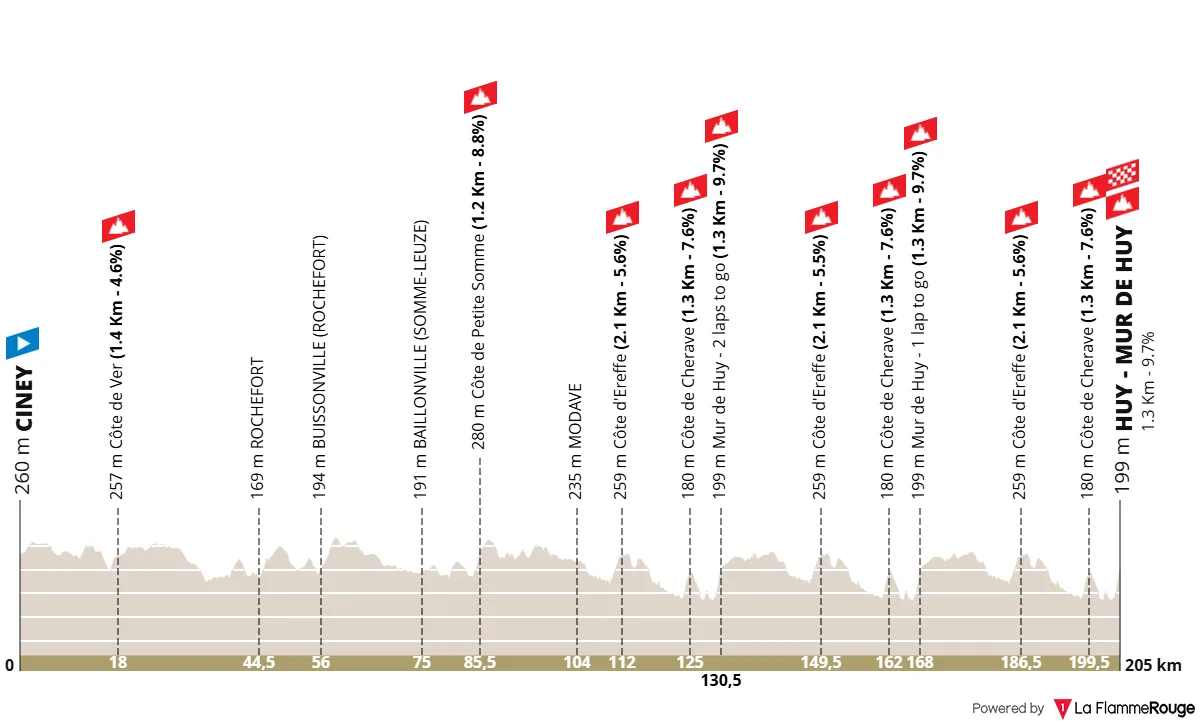 Profile & Route Flèche Wallonne 2025