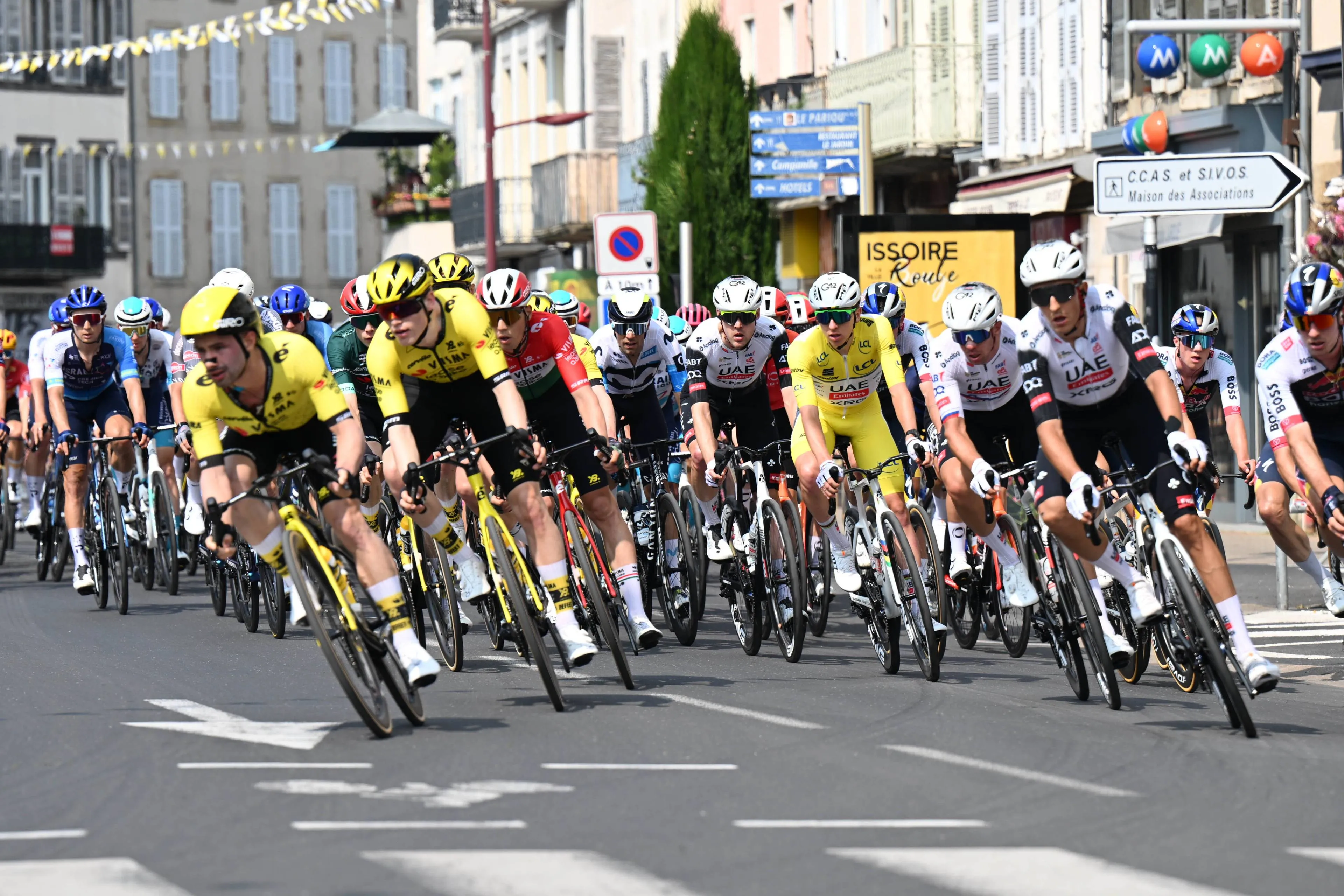 dauphine