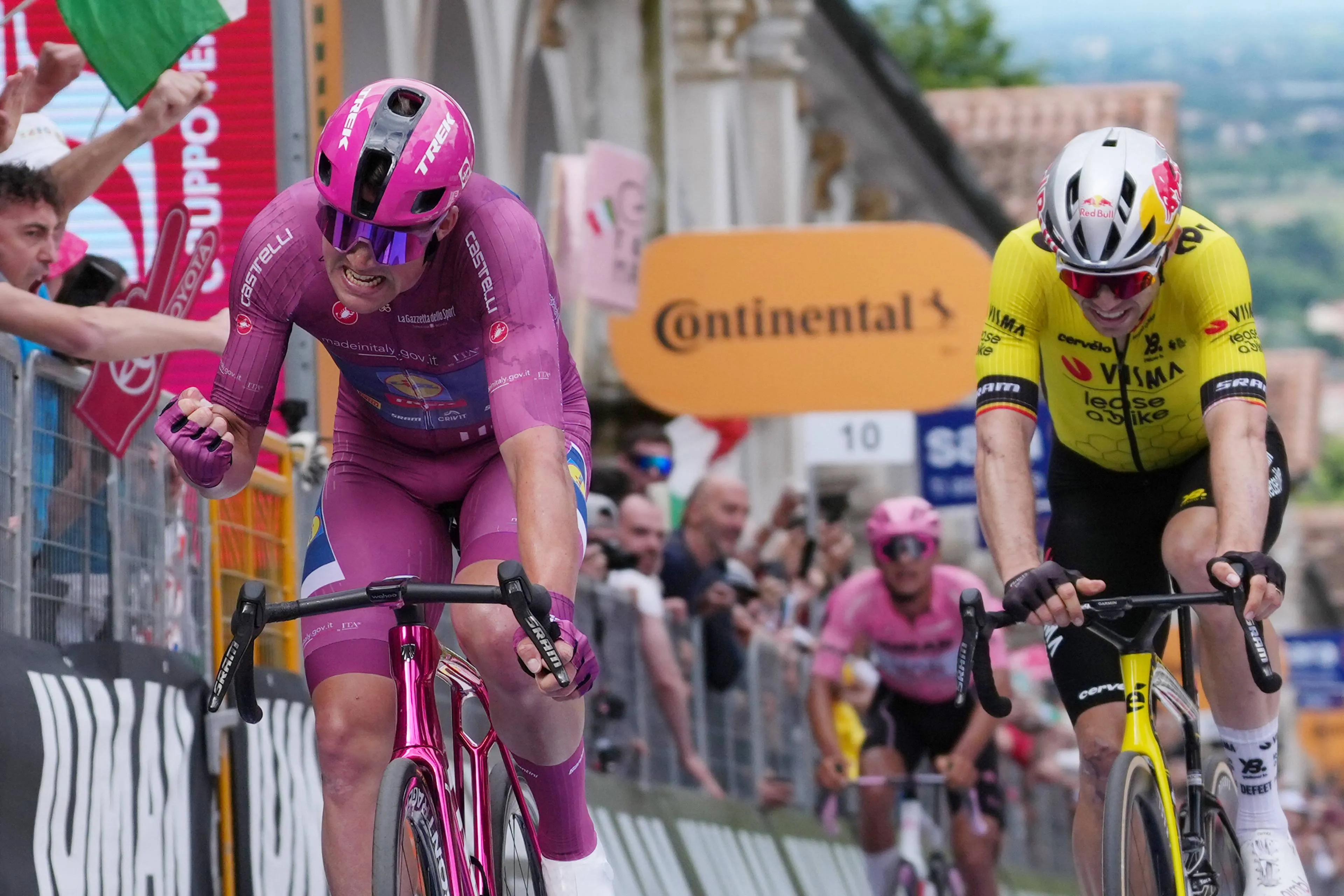 madspedersen woutvanaert