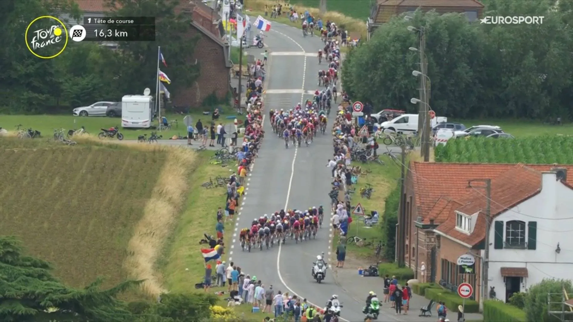 tdf