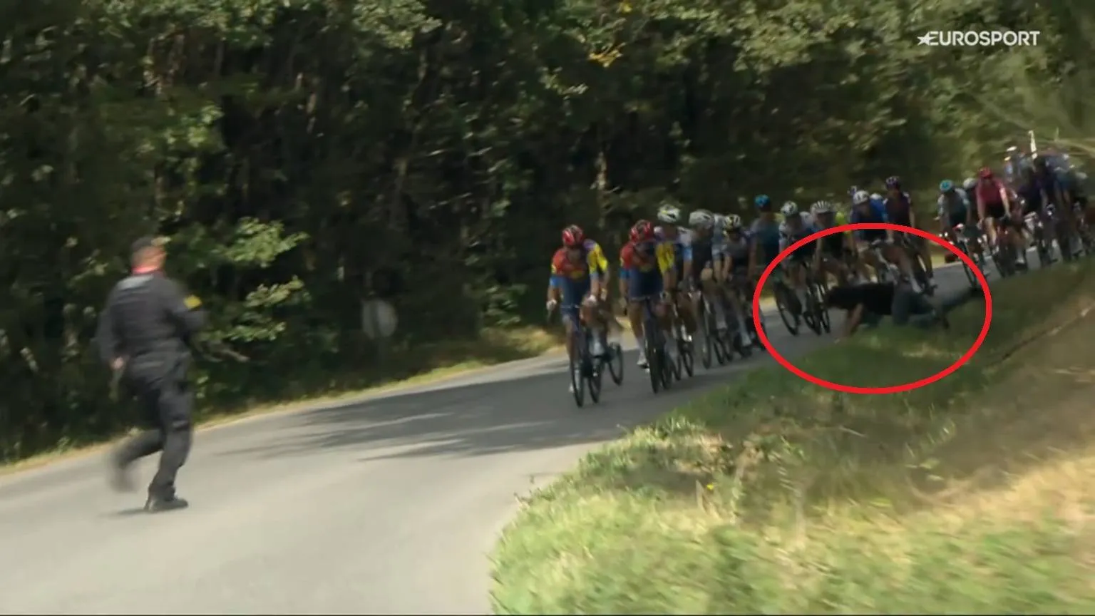 VIDEO | Another crash at Vuelta a Espana caused by protestor