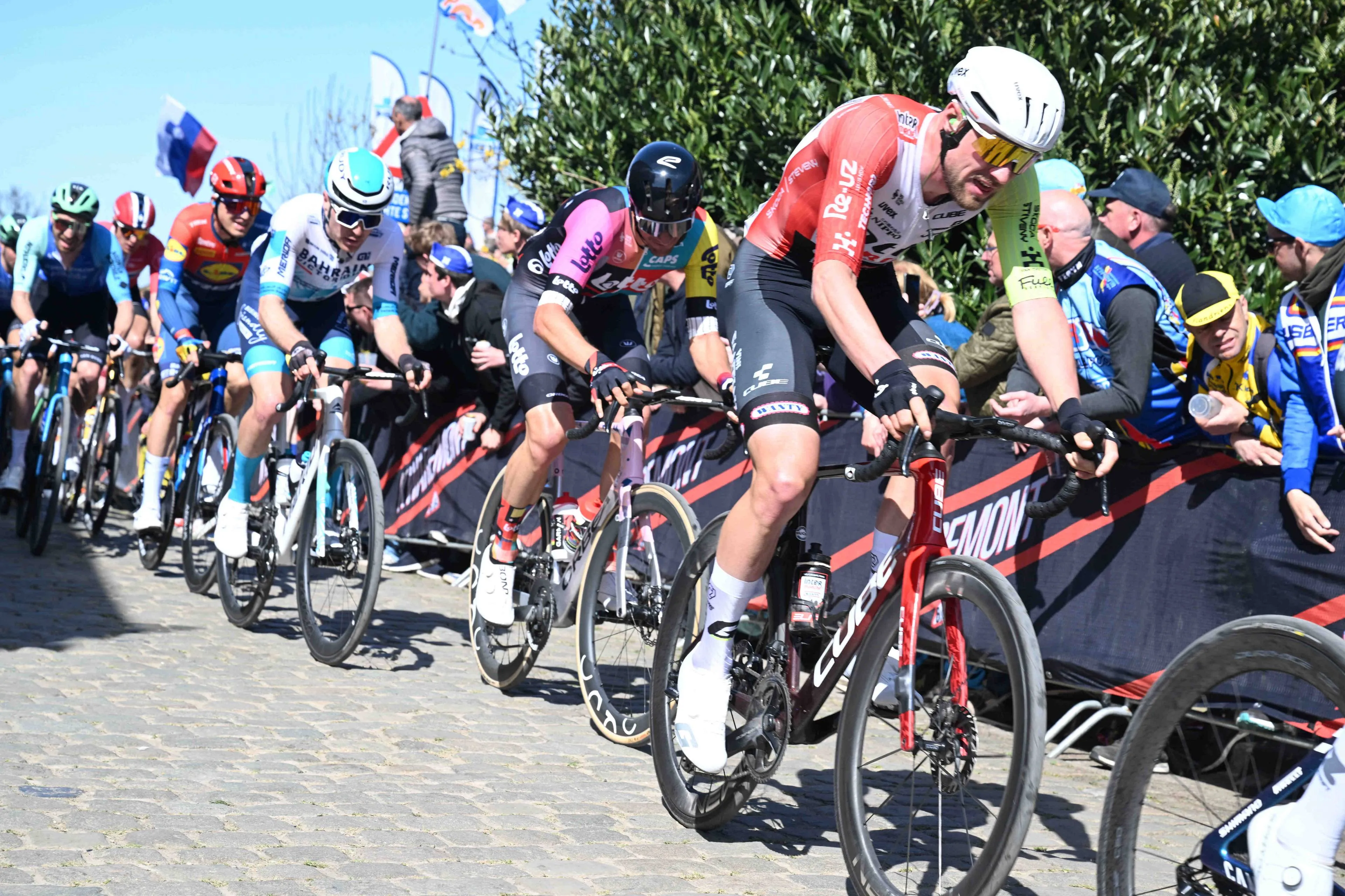 Laurenz Rex climbing the Oude Kwaremont at the 2025 Tour of Flanders