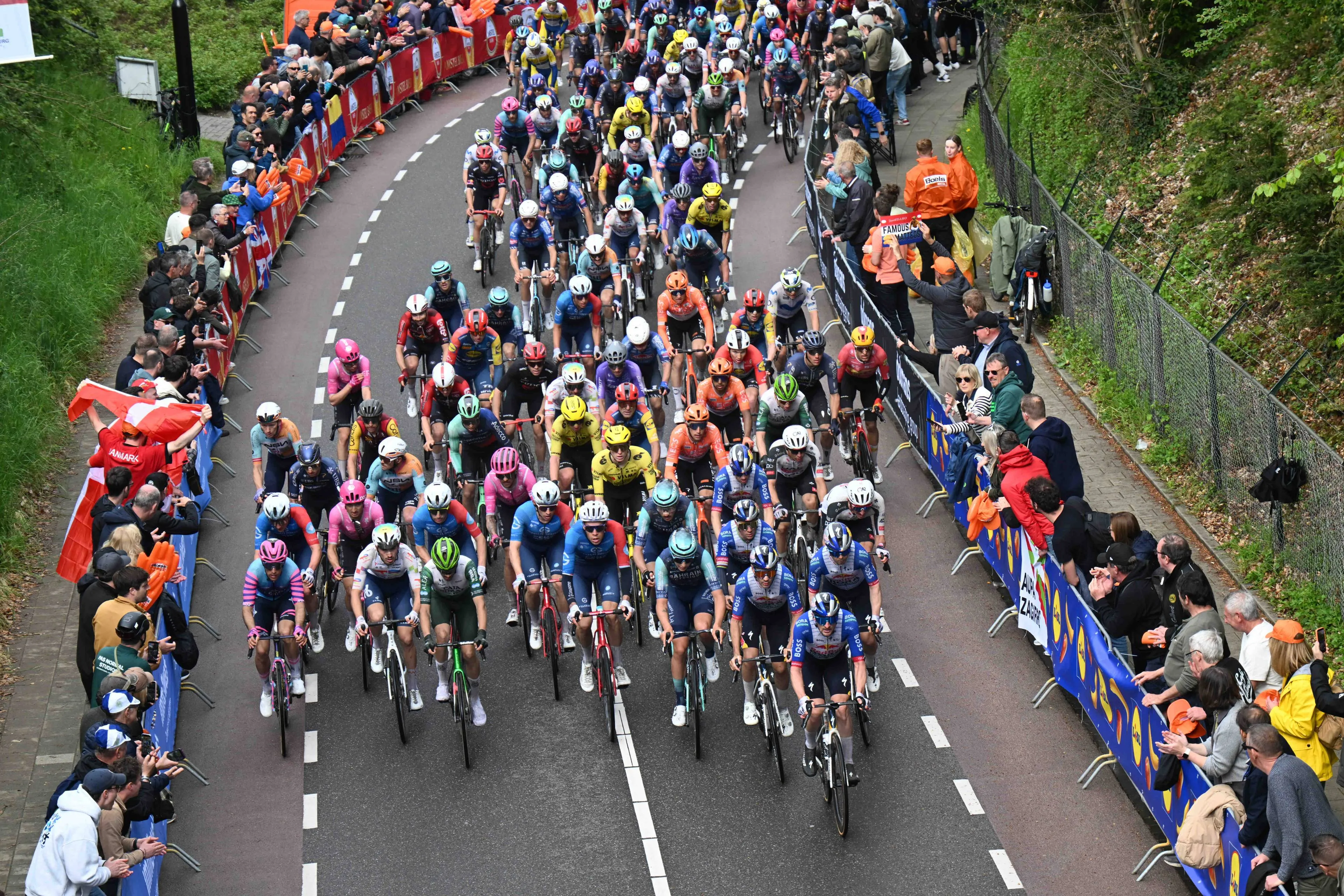 Professional peloton in the 2026 season.