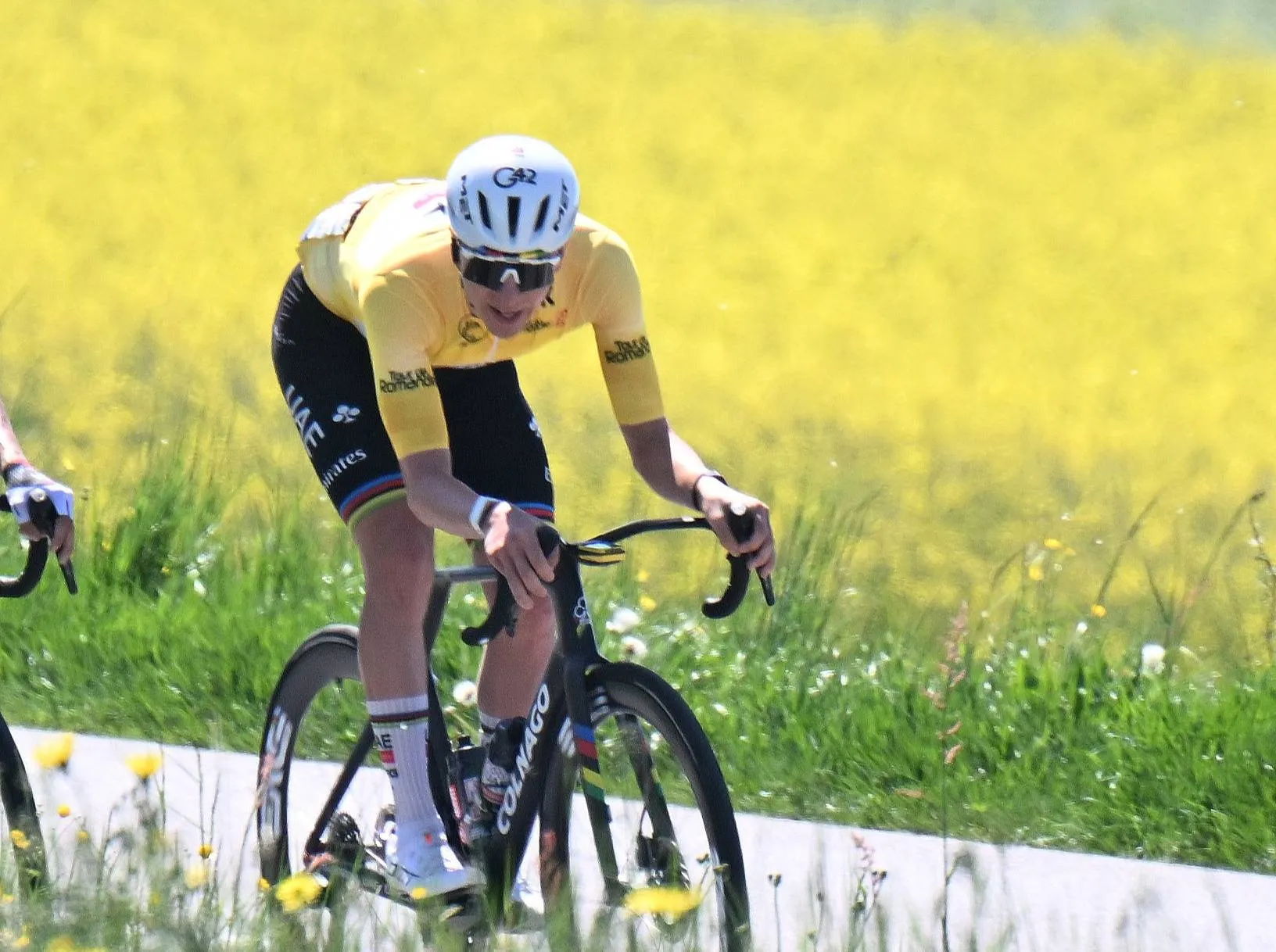 Tadej Pogacar at the 2026 Tour de Romandie