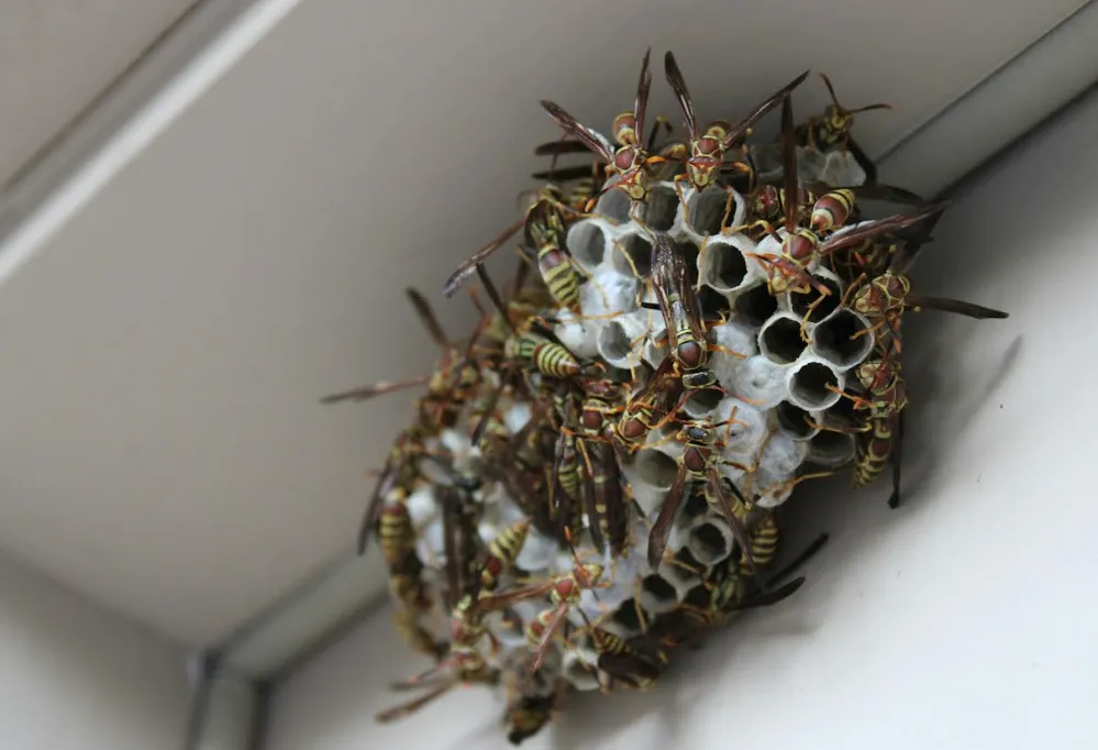 Schermafbeelding 2026-04-09 100928