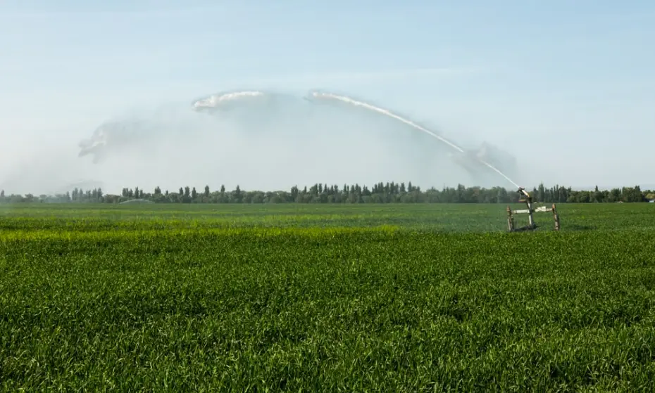 Schermafbeelding 2026-07-19 103229