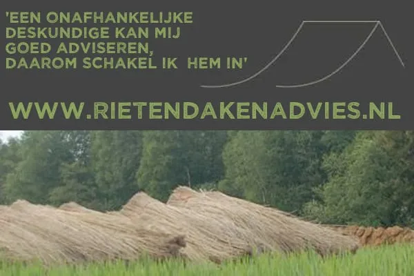 rietendakenadvies