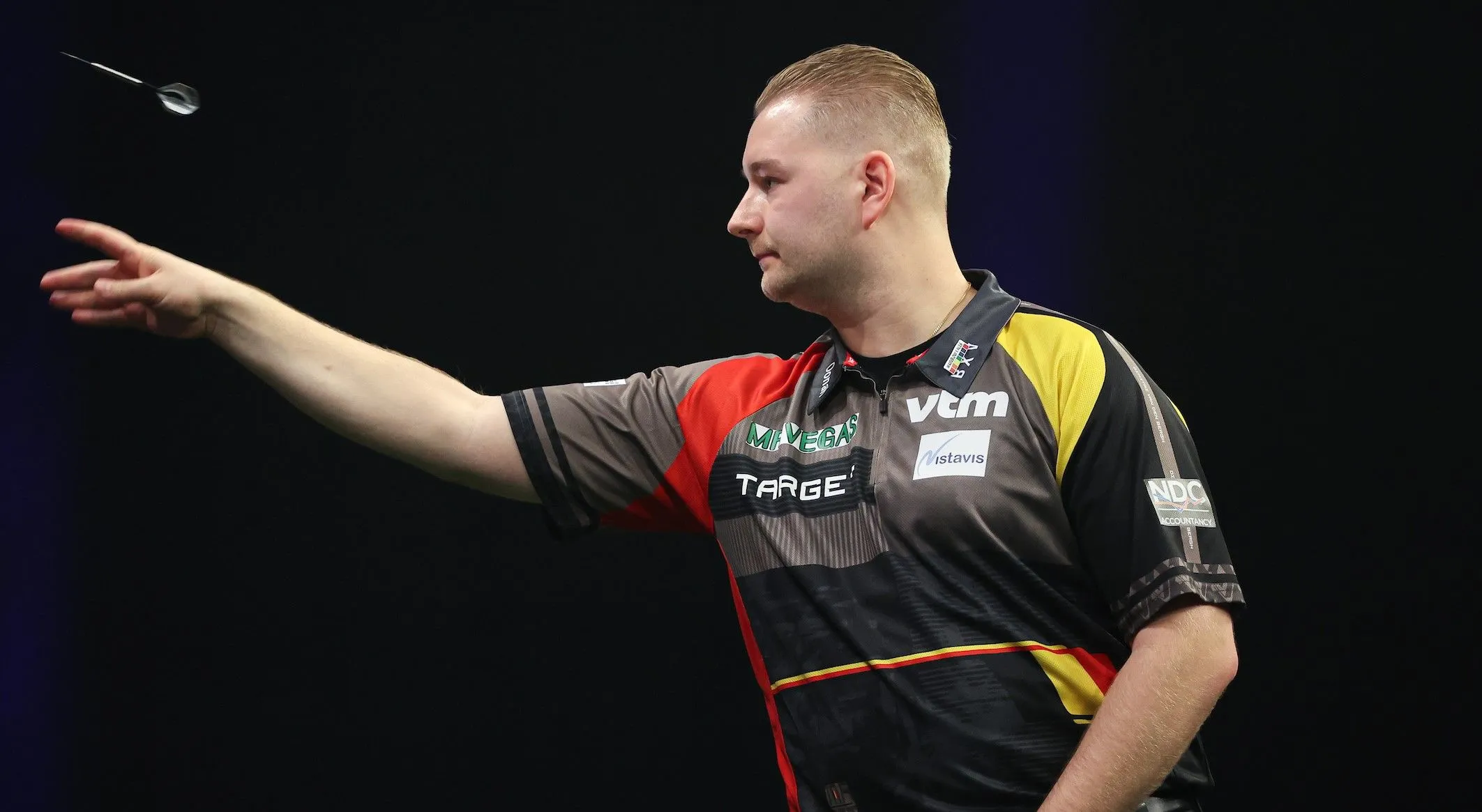dimitri van den bergh 2