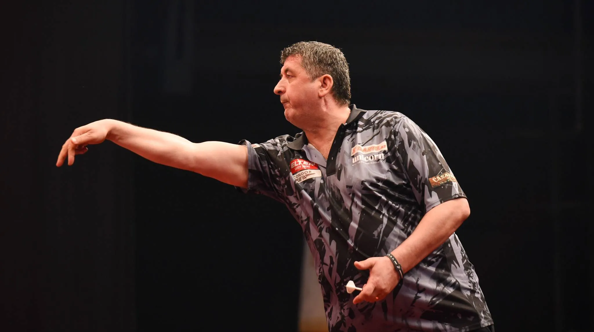 mensur suljovic 2