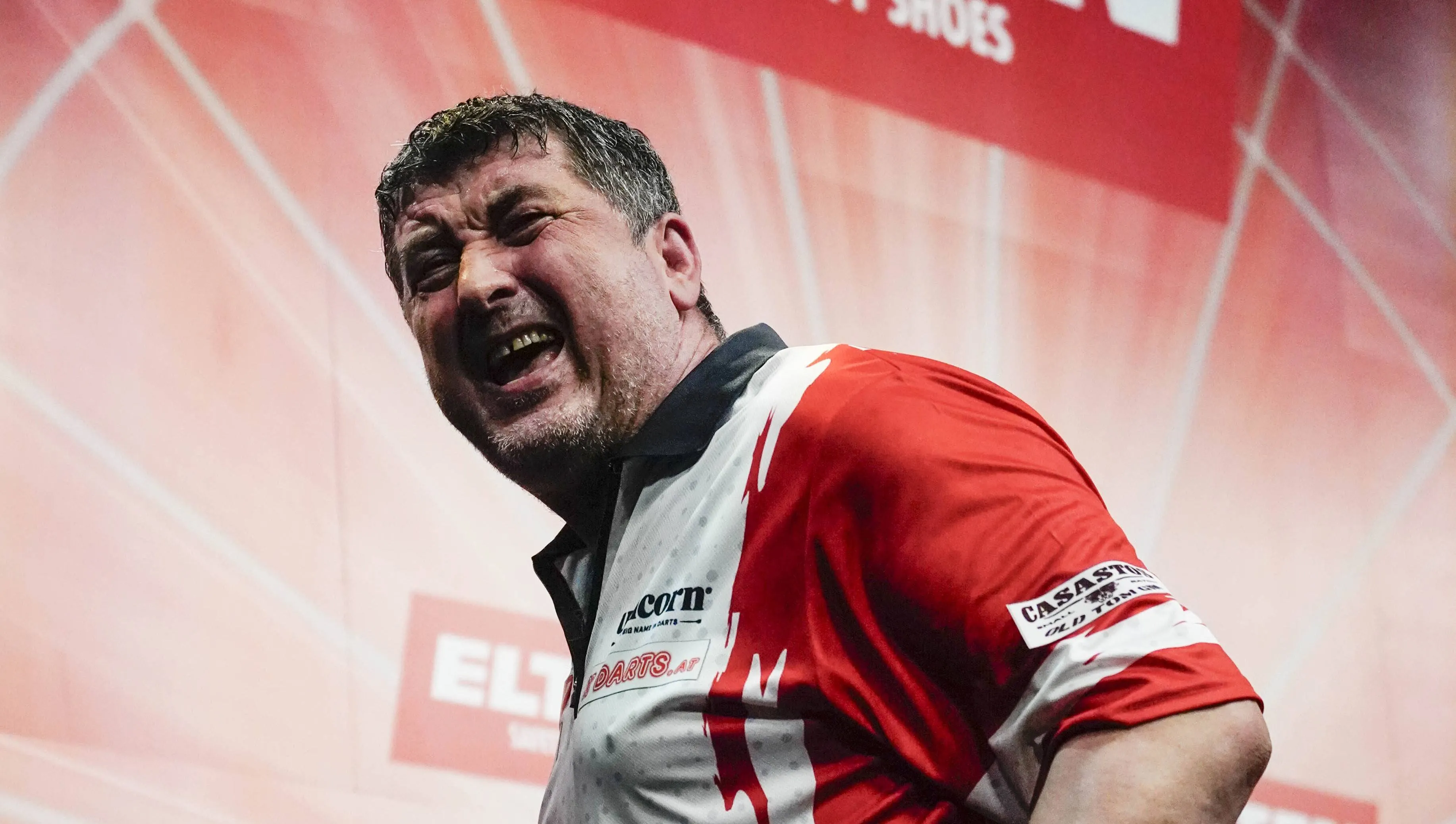 mensur suljovic 3