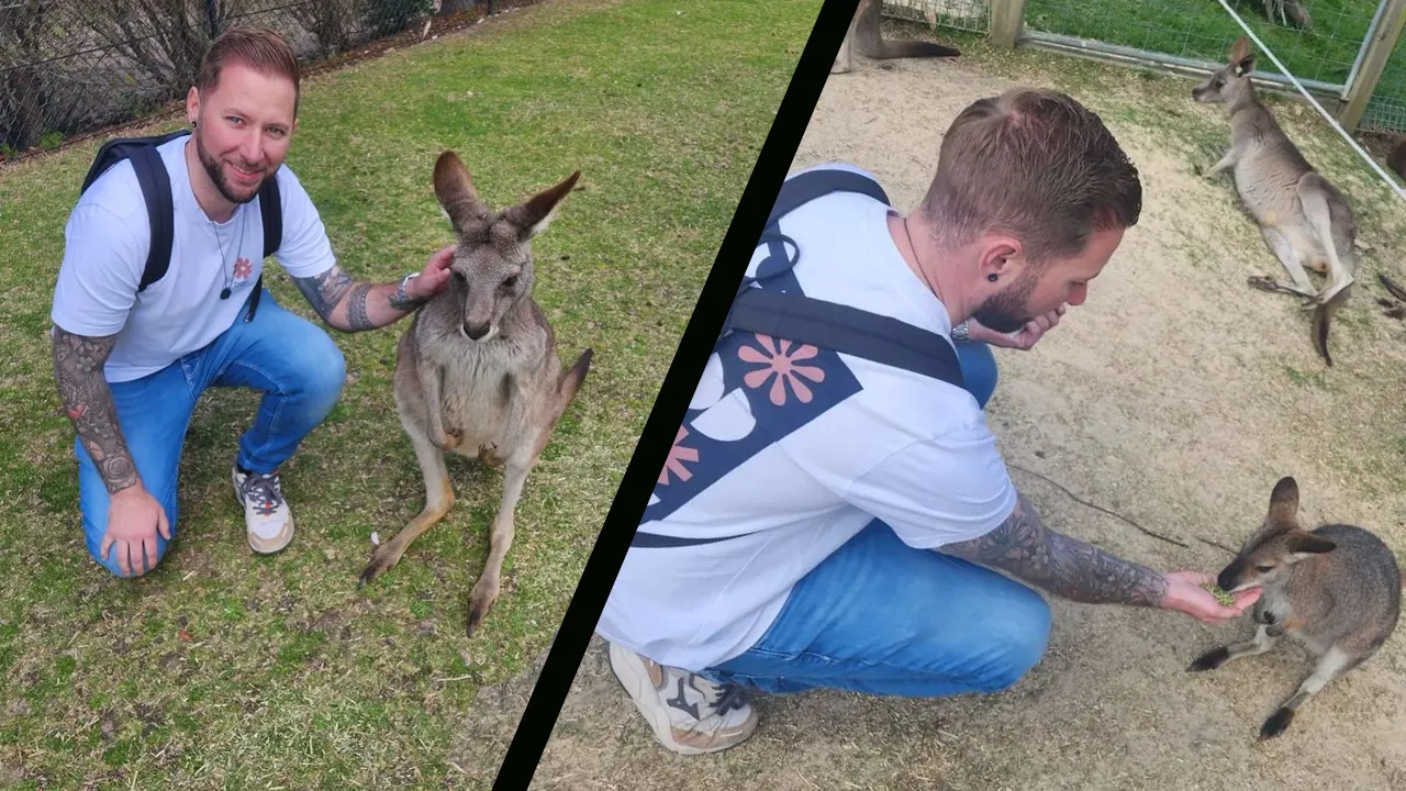 Noppert mag kangoeroes voeren in Australië: ''Prachtig mooi om dit mee te maken''