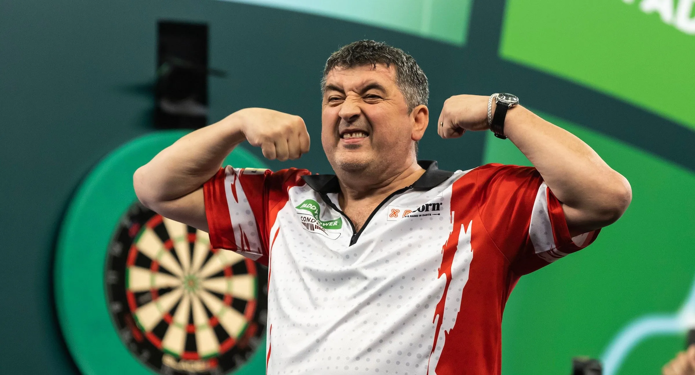 mensur suljovic 4
