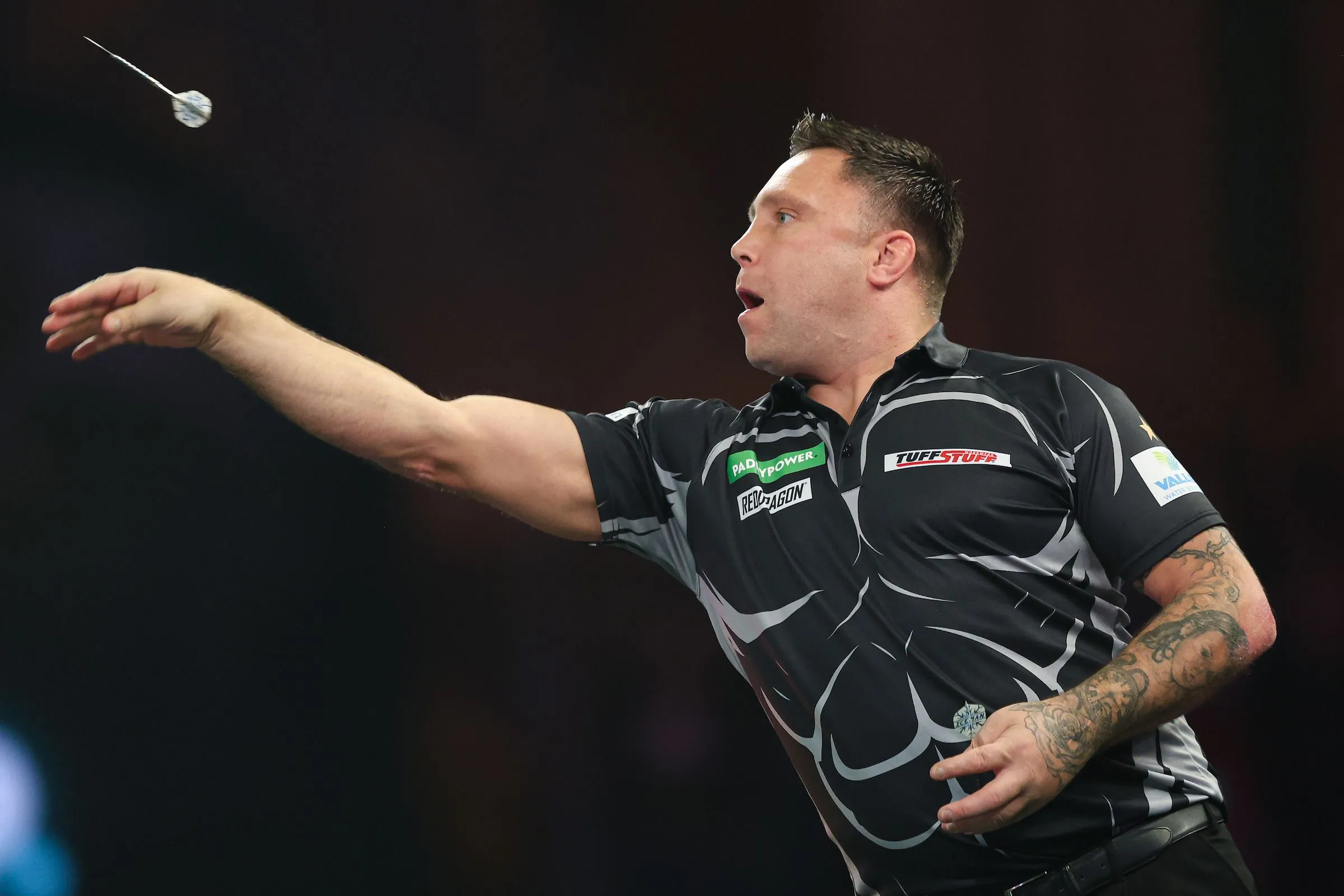 gerwyn price