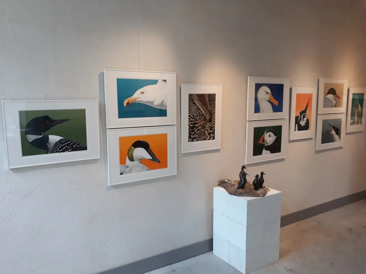 201901 bevlogen c wildschutservenl