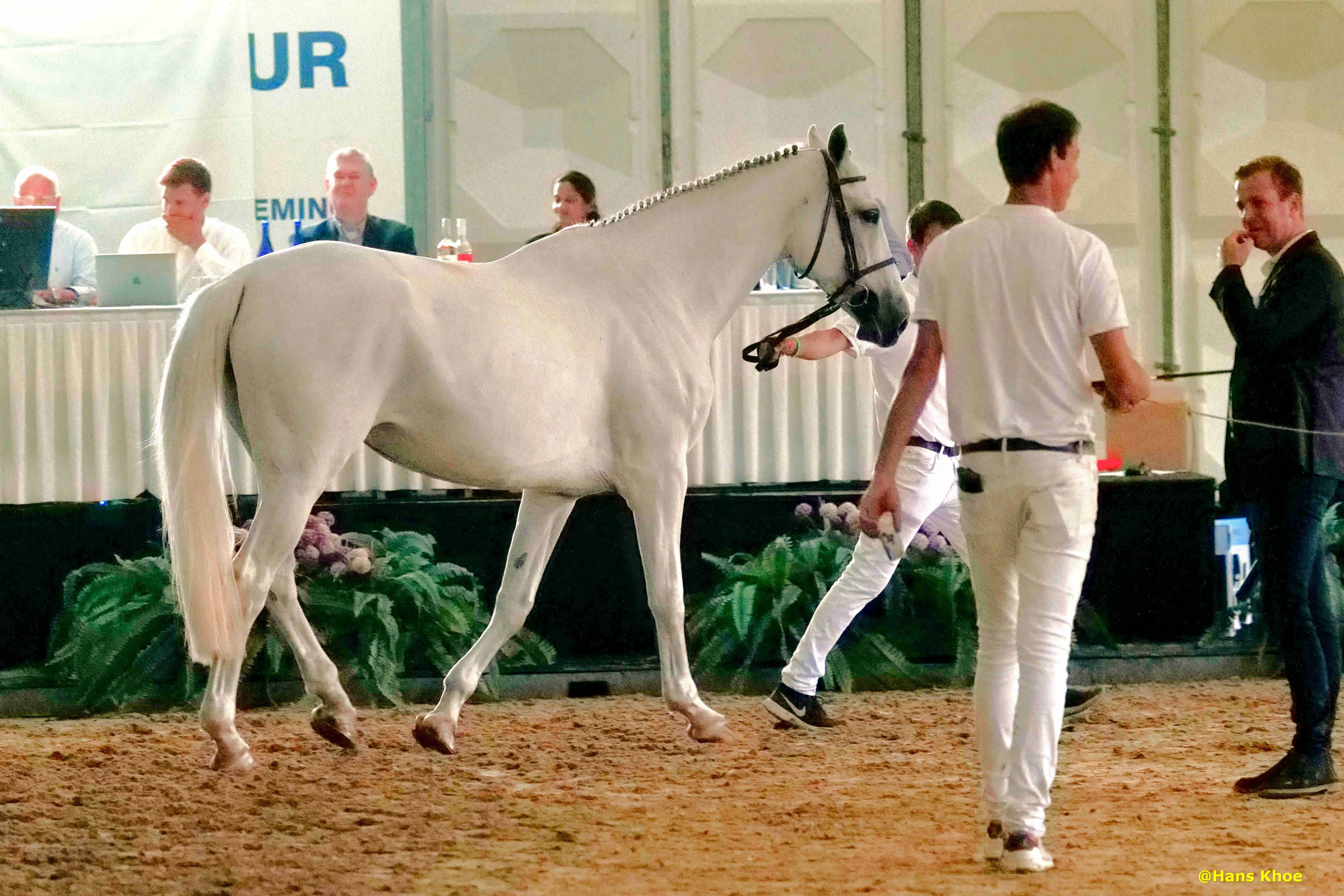 ch jolly karla v op summer sale foto hans khoe