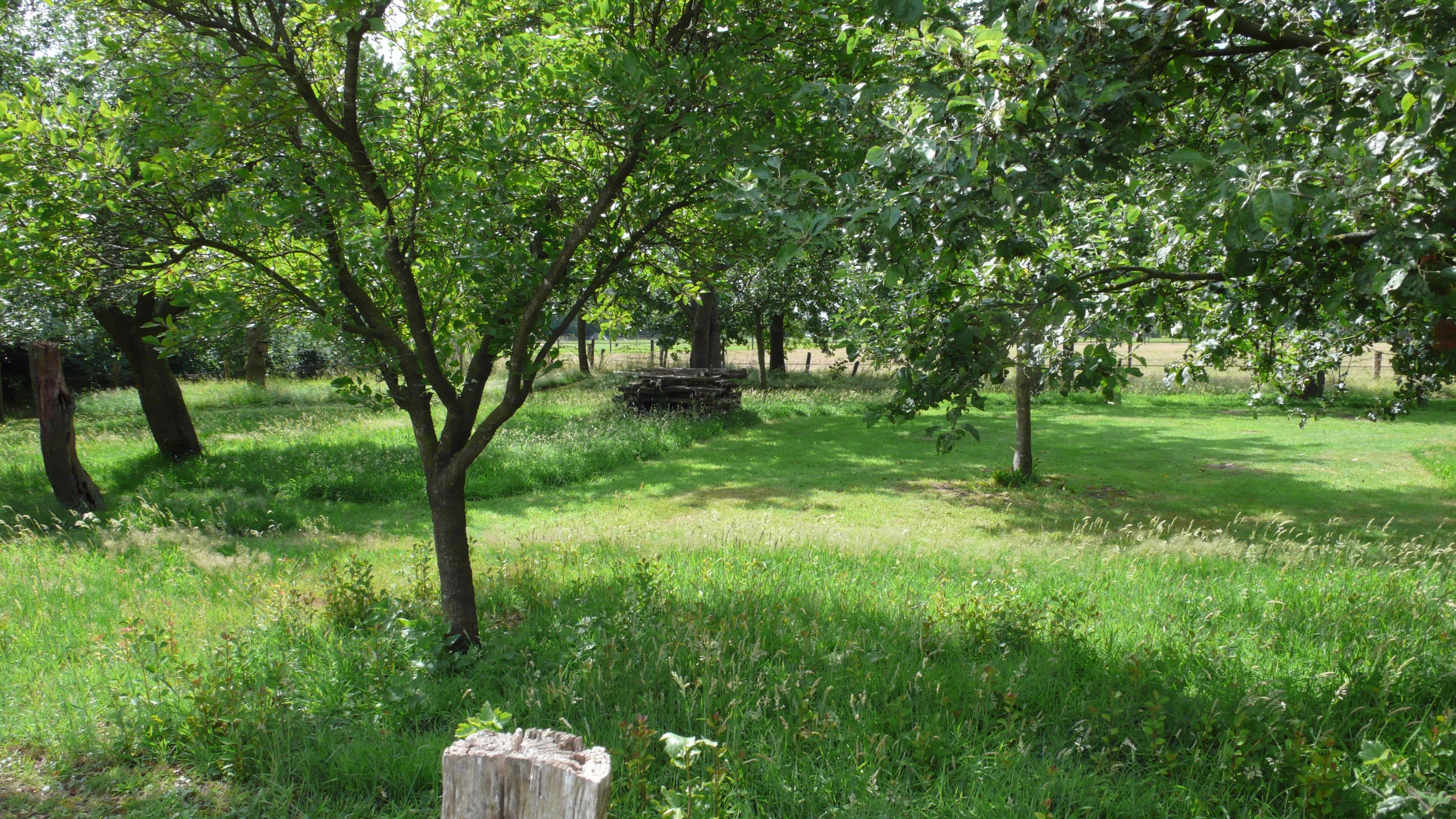 drenthe natuurerf
