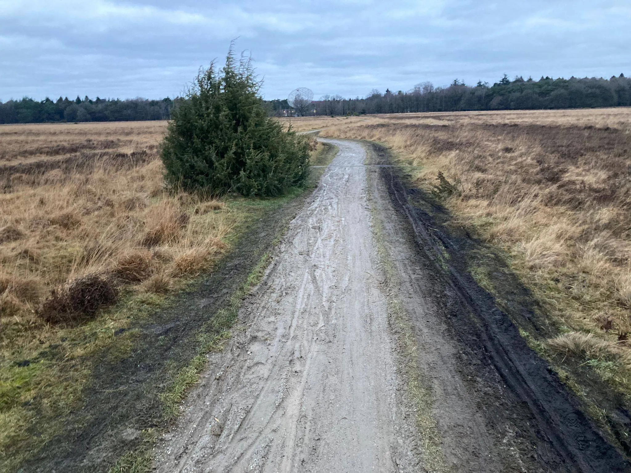 dwingelderveld fietspad1