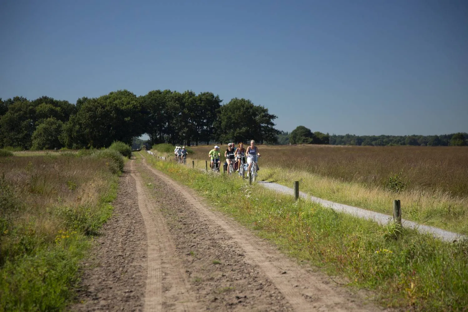 dwingeloo 2016 fietsvierdaagse 1