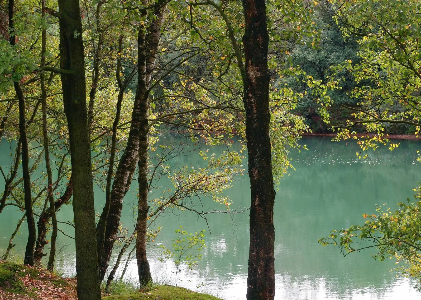 dwingeloo natuurmonumenten hans dekker namo101480 kleiner