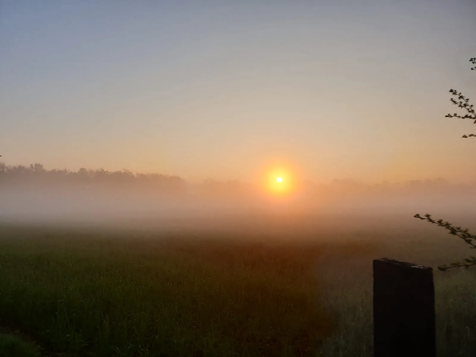 echten opkomende zon dauw