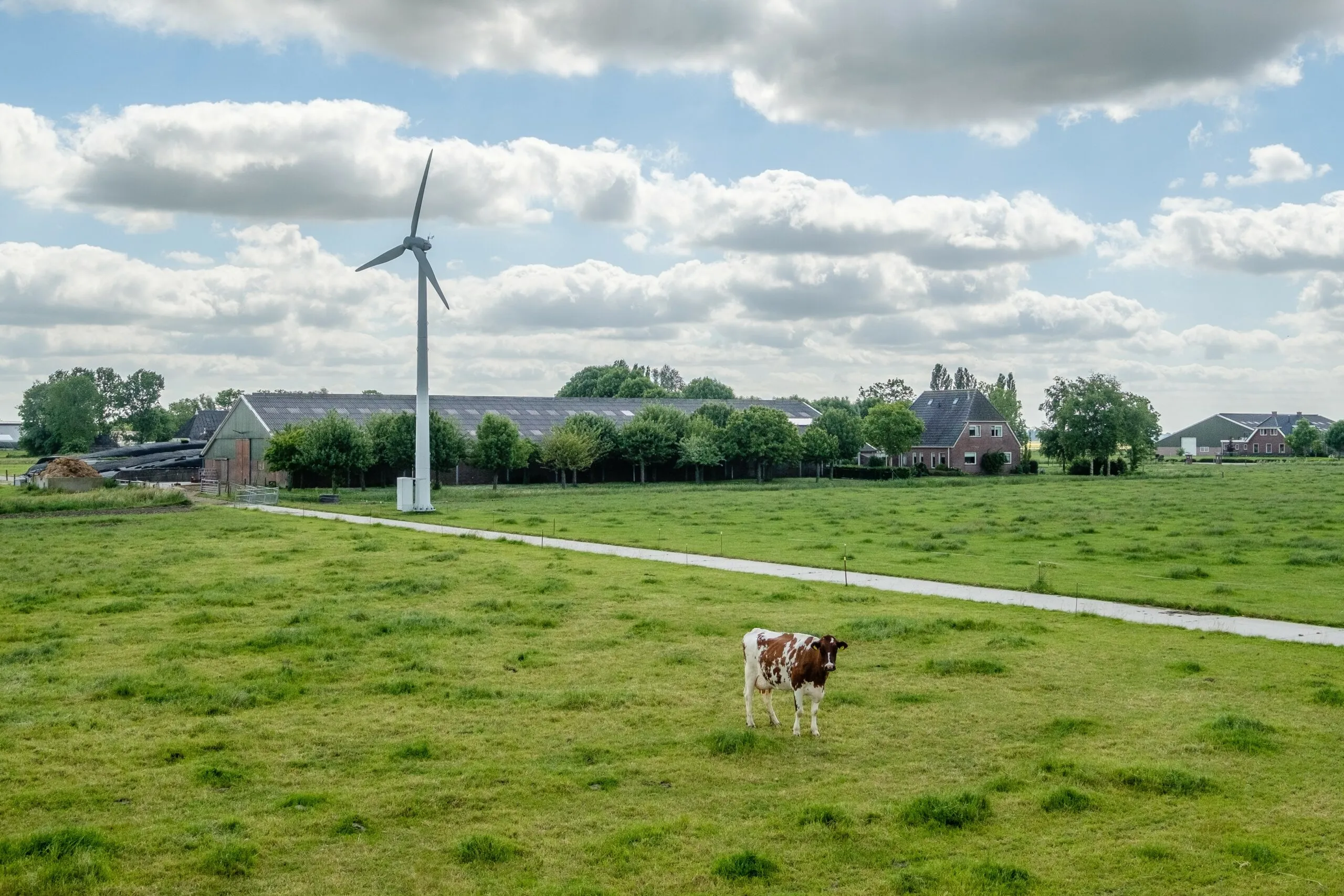 een bestaande boerderijmolen in bedum bestwatt scaled