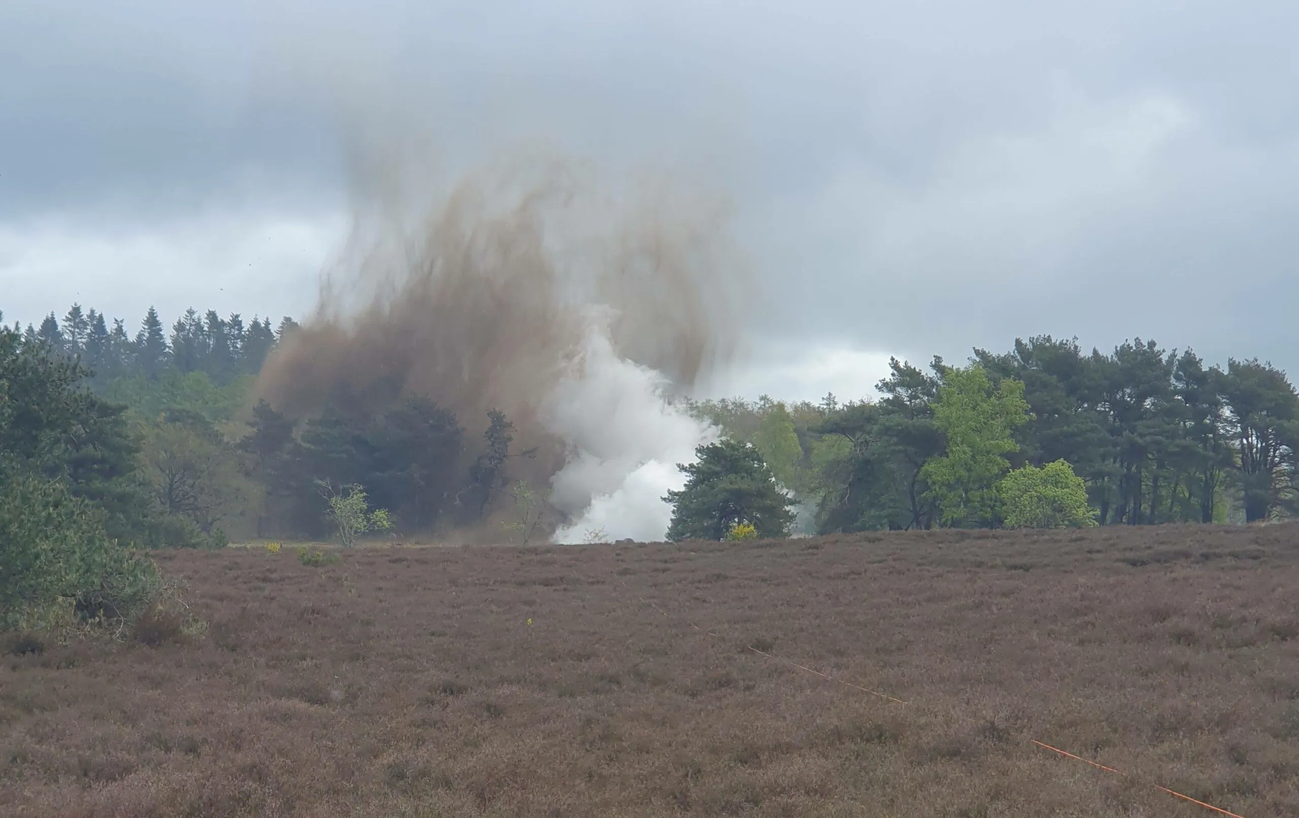 havelte bom holtingerveldclipboard01 scaled