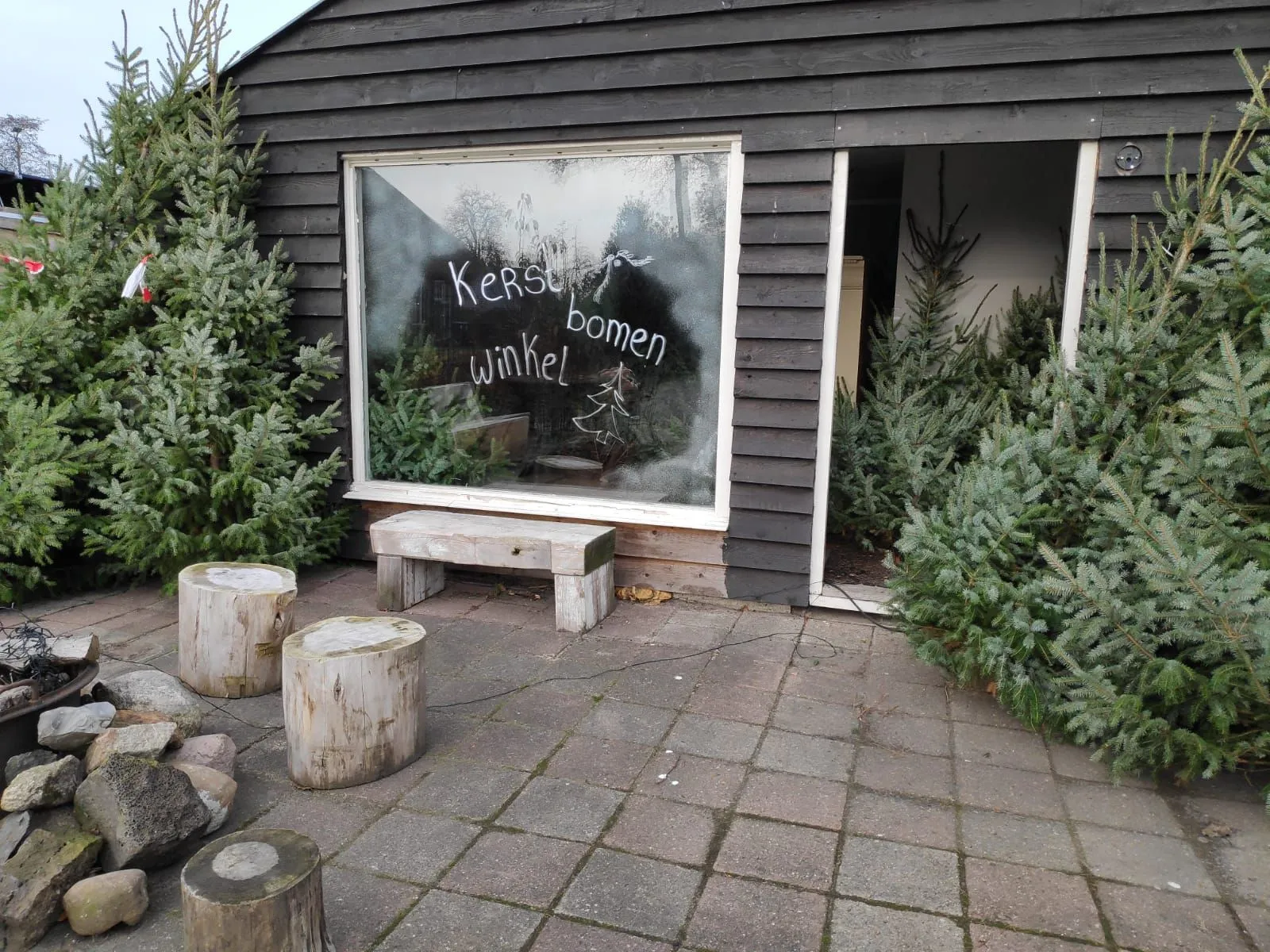 kerstbomenwinkel nico