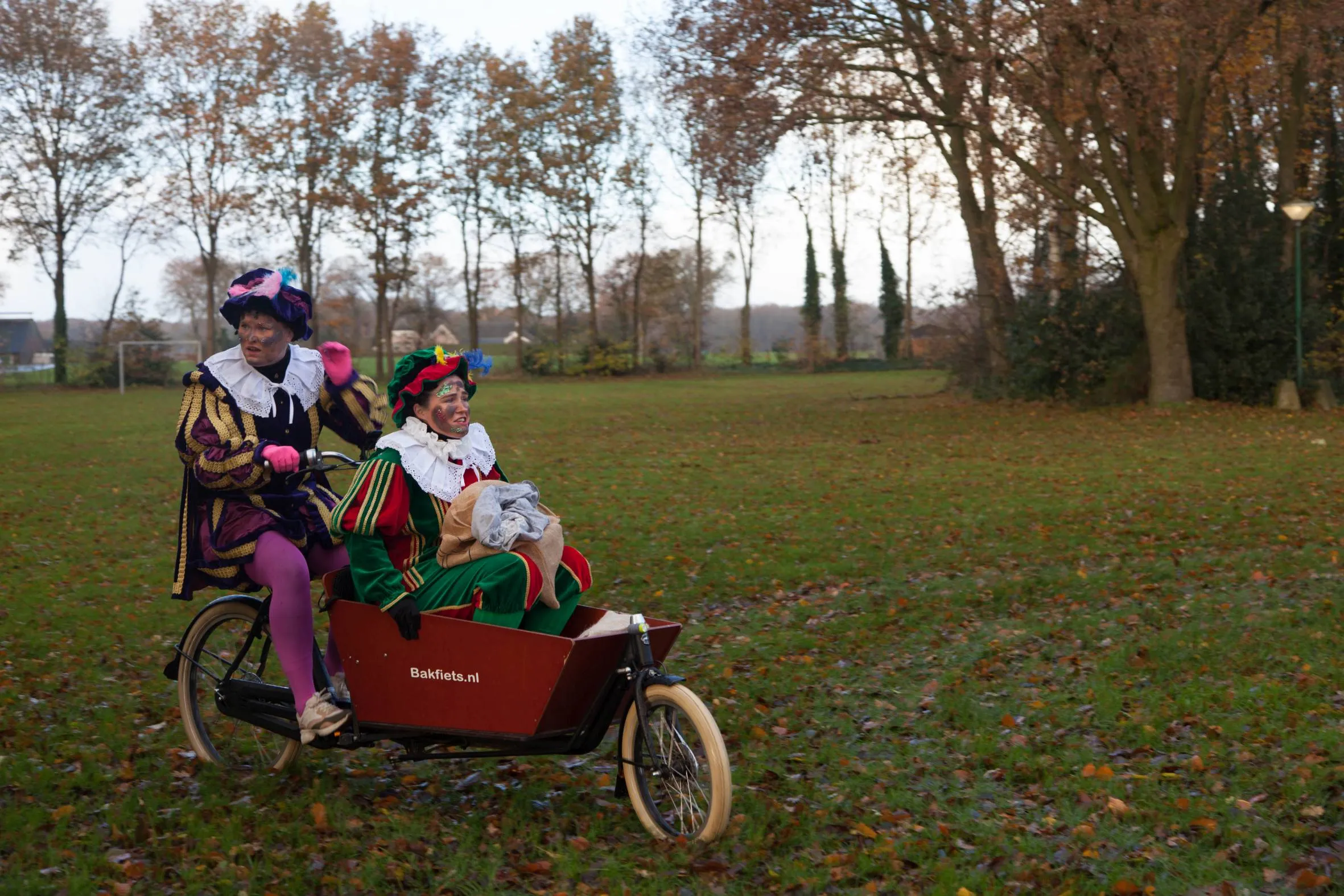 linde sint1
