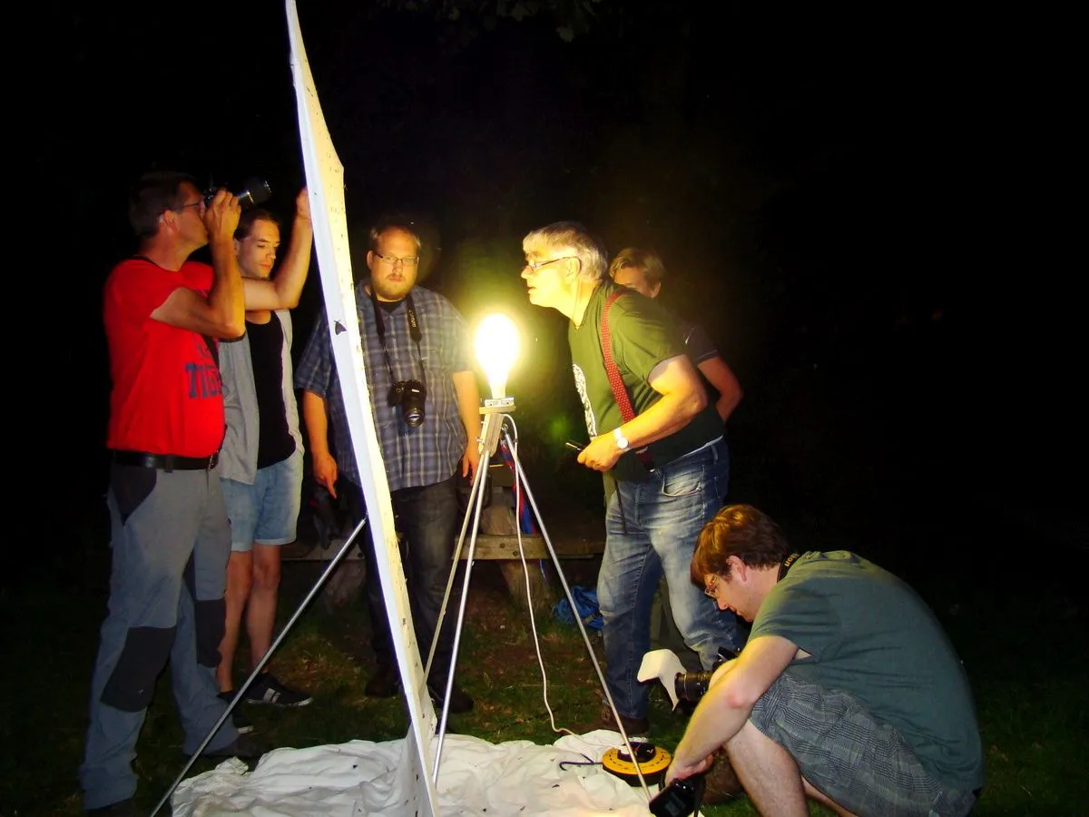 nachtvlinders inventariseren