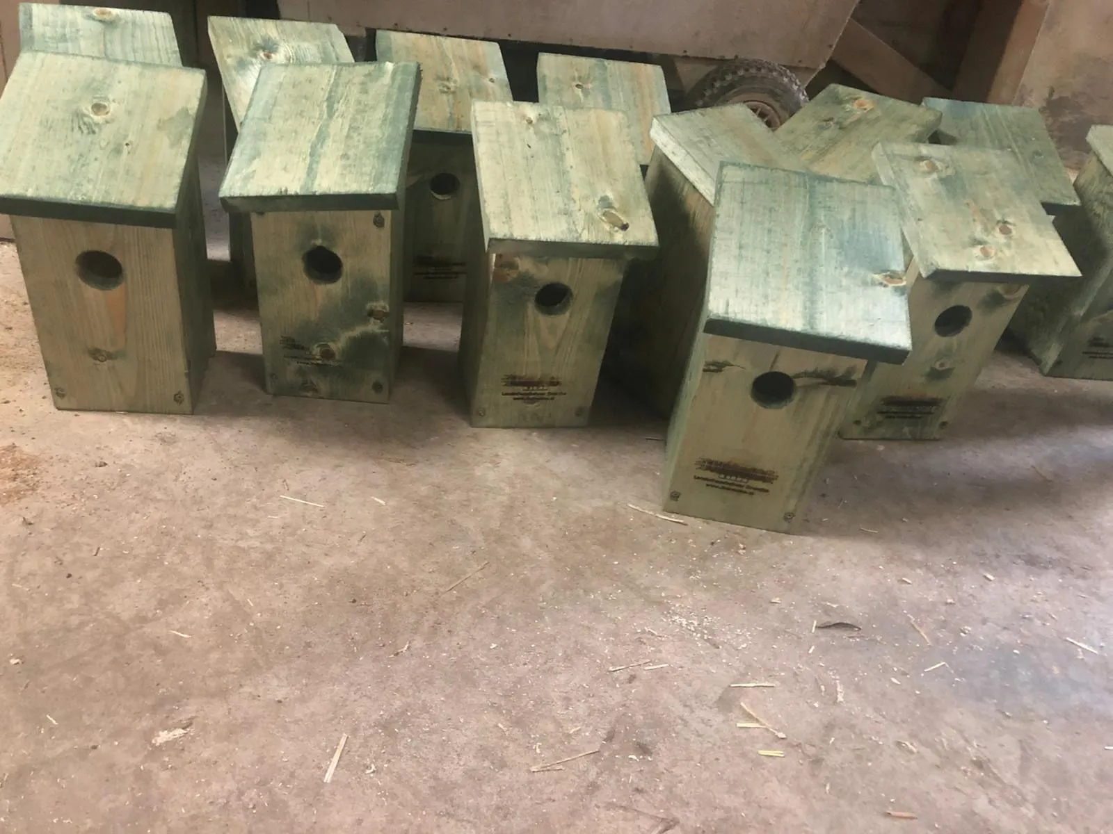 oldehave bos nestkastjes 1 foto ina alblas