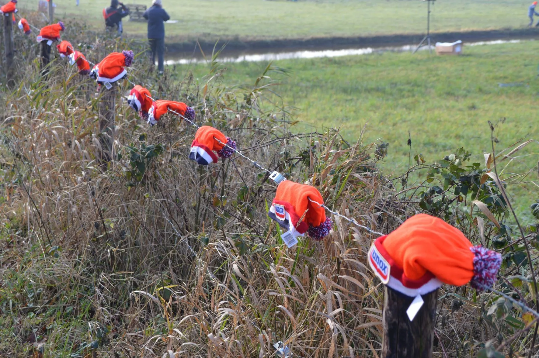 pn01012020 nieuwjaarsduik de wijk1